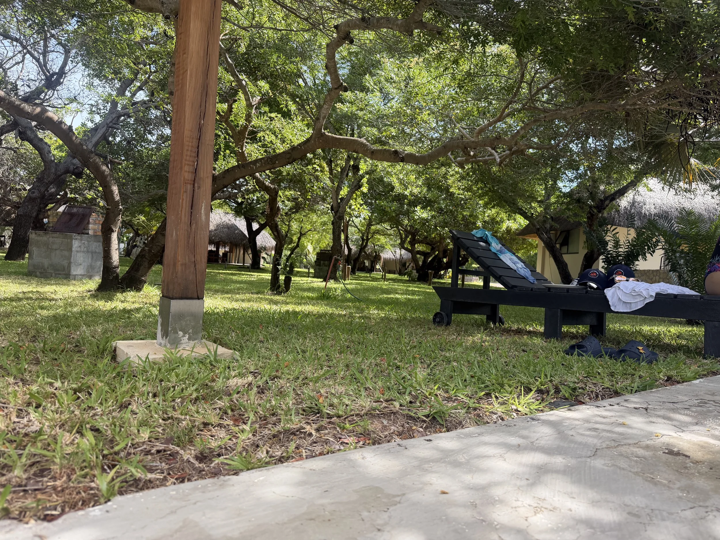 A backyard scene with several large trees providing shade, a wooden post, a concrete well, a black sun lounger with towels, and a small building with a thatched roof in the background.