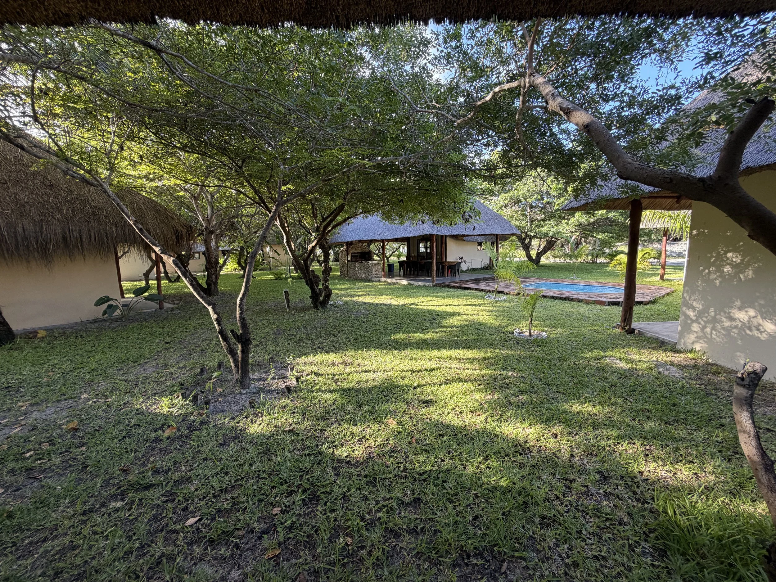 Backyard scene with trees, grass, a thatched roof gazebo, a small pool, and a shed in the background.