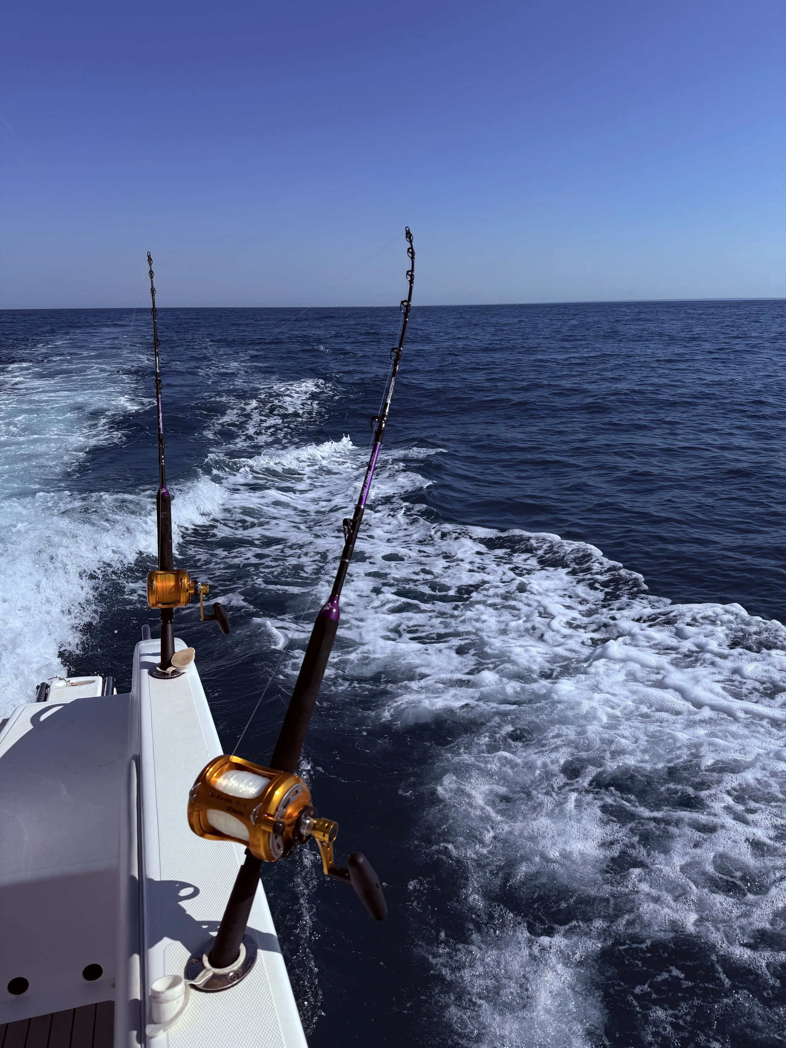 Two fishing rods mounted on a boat with the ocean and blue sky in the background.