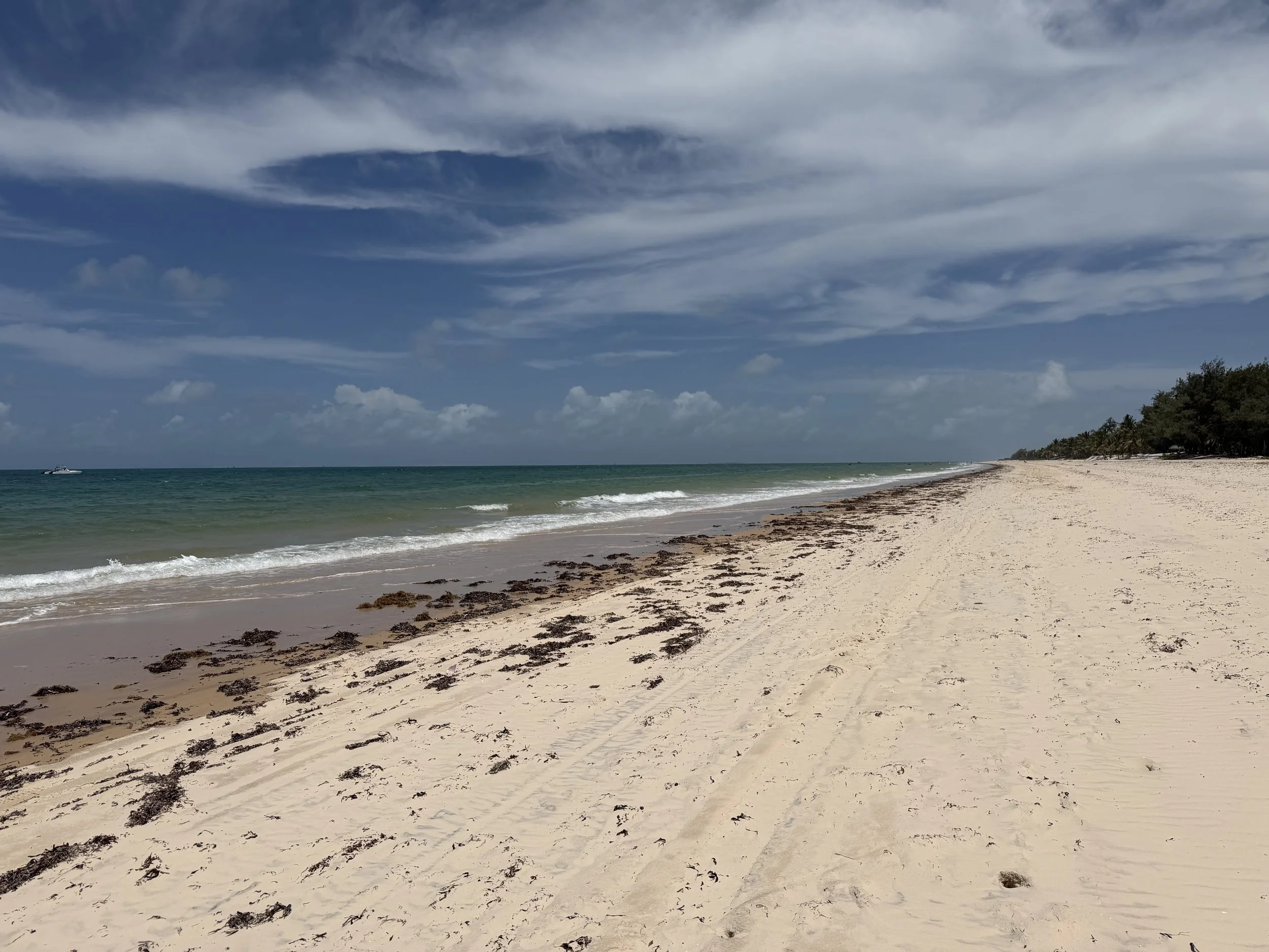 A beach scene with sandy shore, seaweed, gentle waves, turquoise ocean water, and blue sky with scattered clouds.
