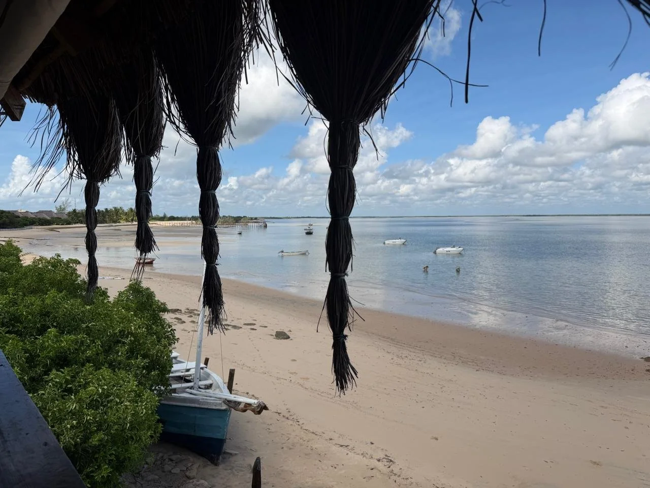 Beach view with sand, water, boats, and a thatched roof hut in the foreground.
