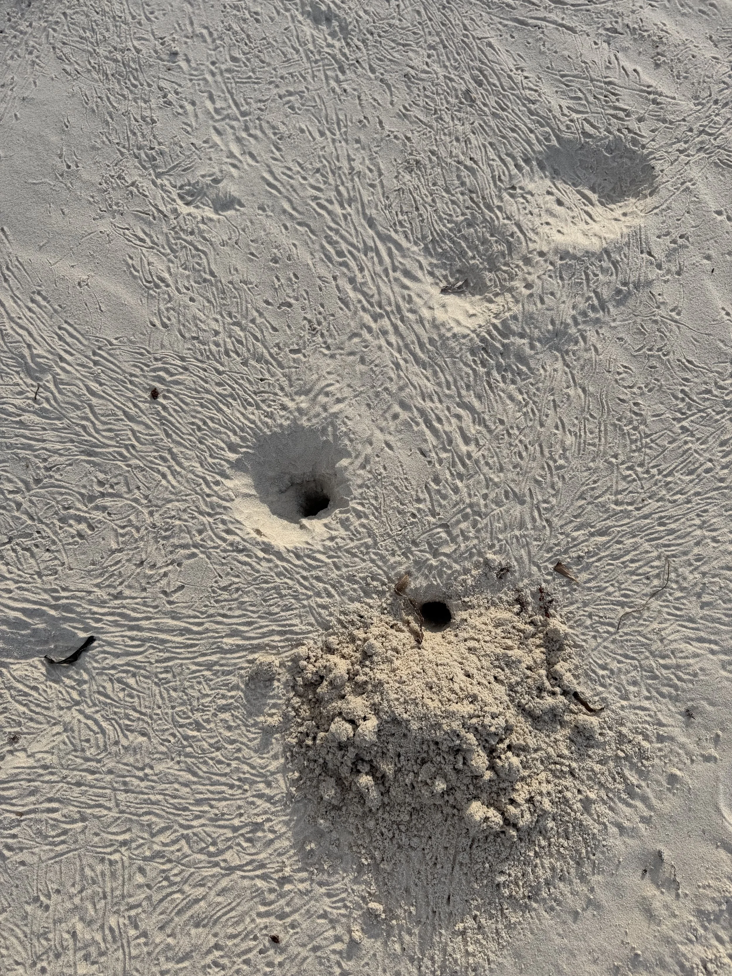 Footprints in the sand on a beach.