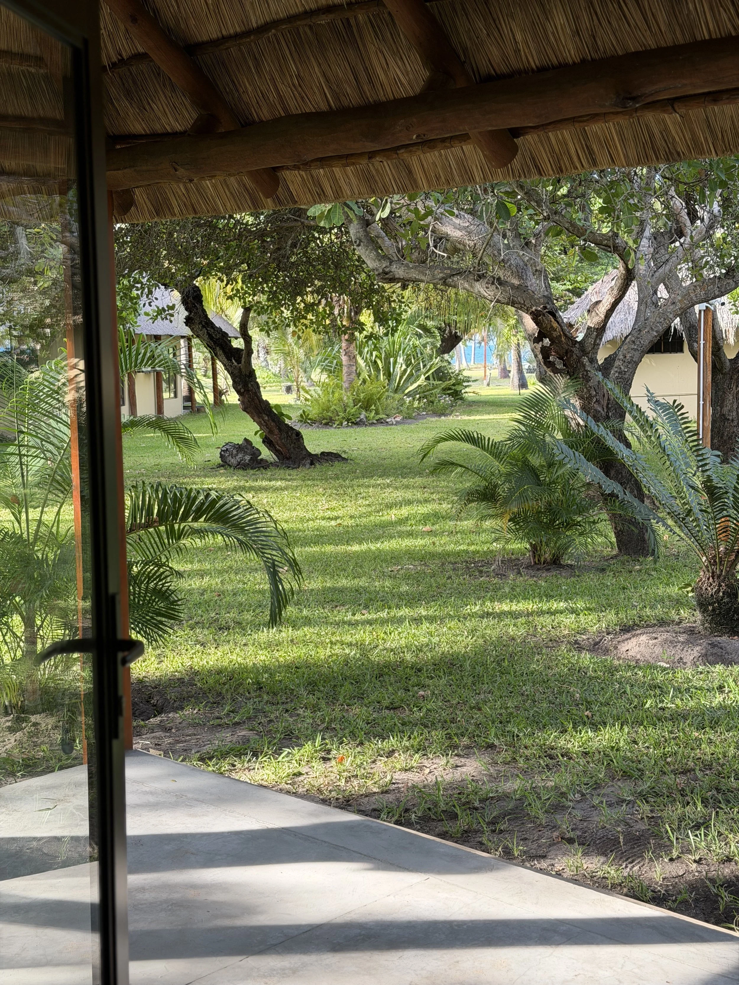 View of an outdoor garden area with a large tree, lush green plants, and a grass lawn, seen from a patio with a thatched roof and part of a building.