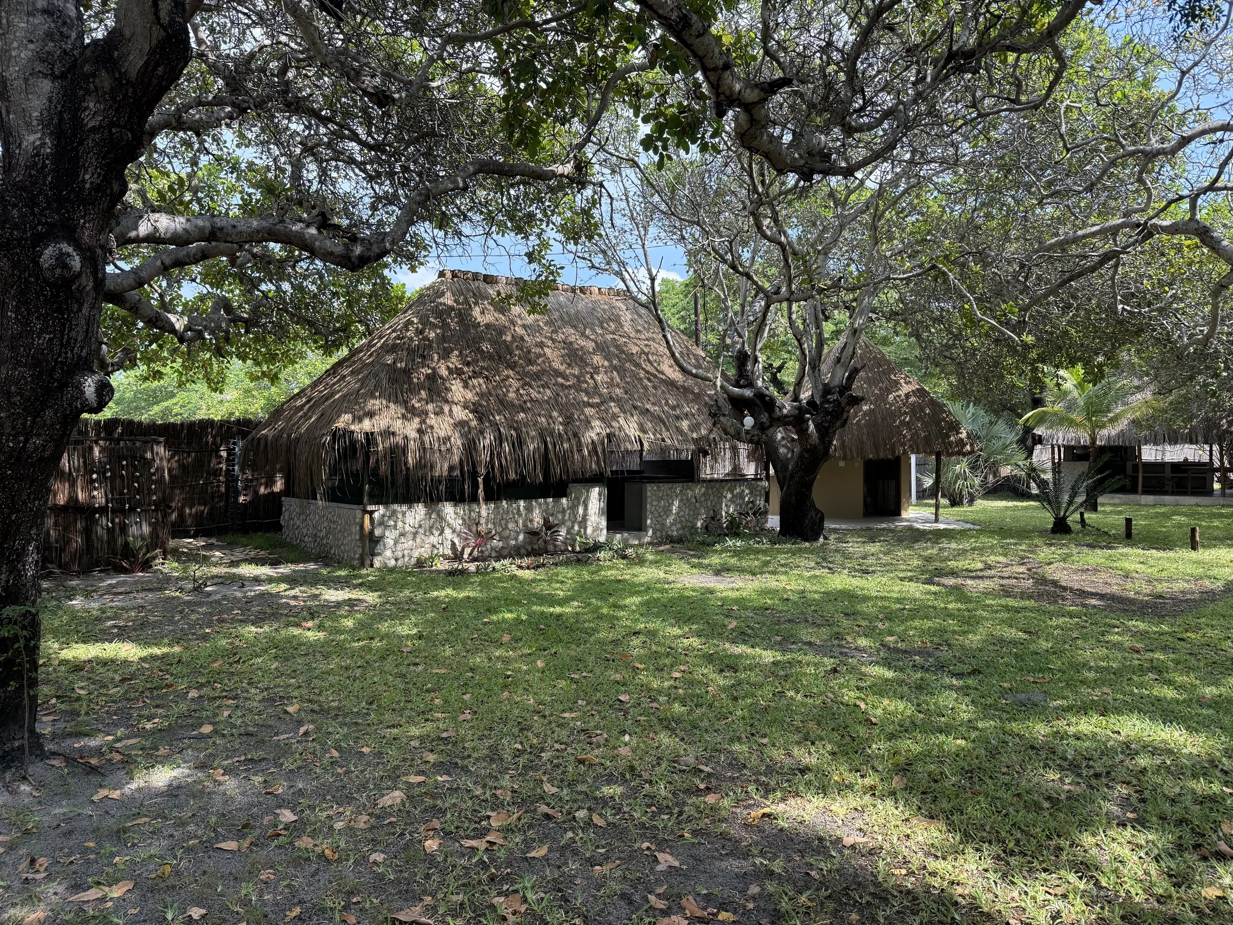 A thatched-roof hut surrounded by lush green trees and grass in a tropical setting.
