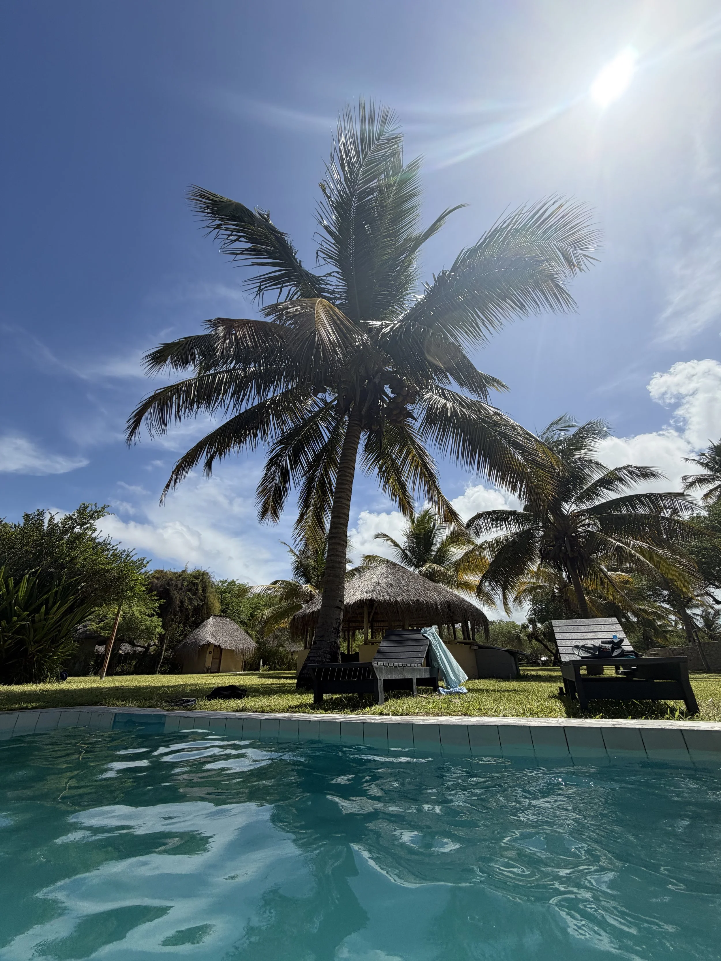 Swimming pool with clear blue water, surrounded by palm trees and thatched-roof huts under a sunny sky.