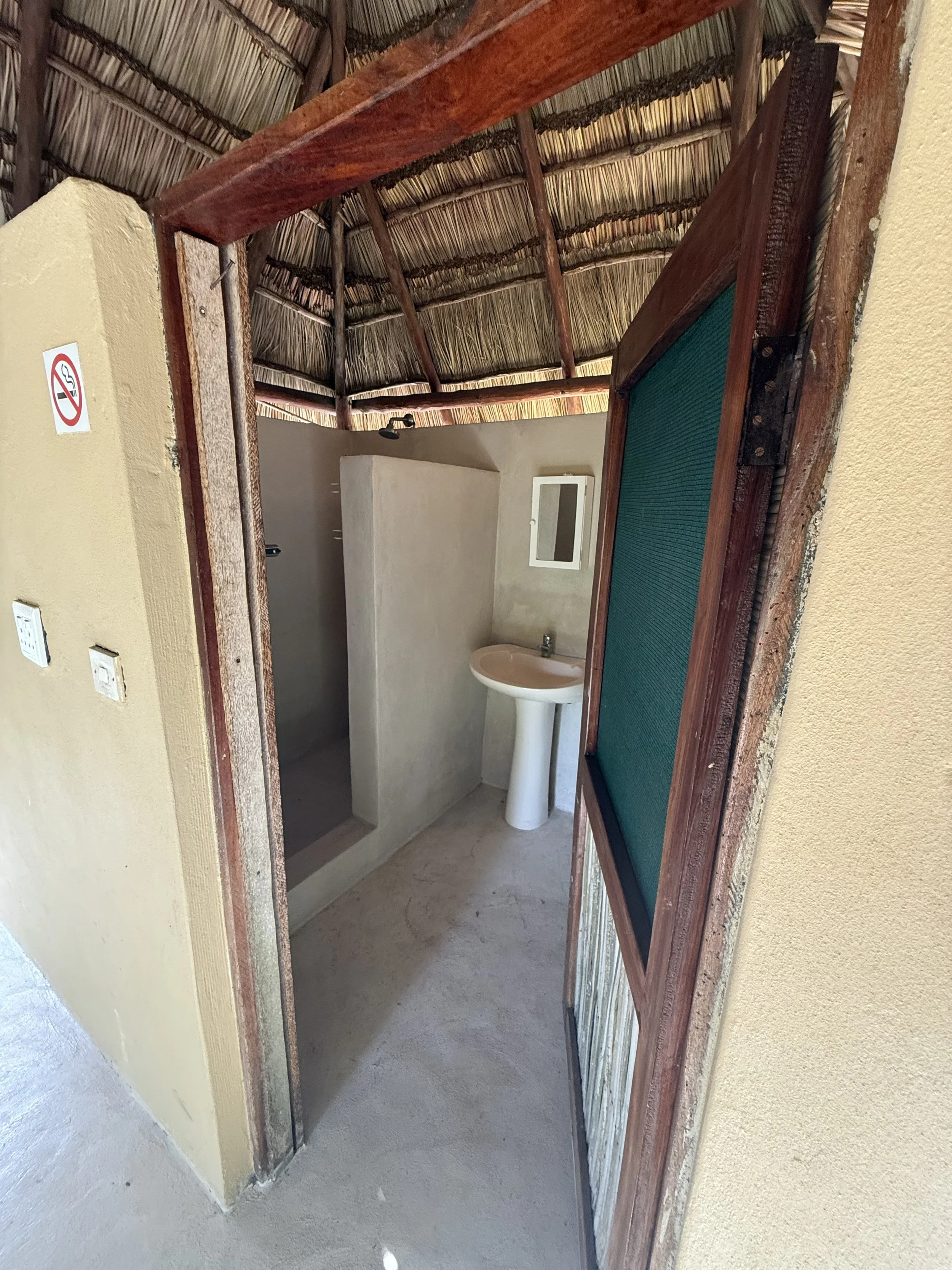 Interior view of a rustic bathroom with a thatched roof, a small sink, and a shower area, seen through a partially open wooden door.