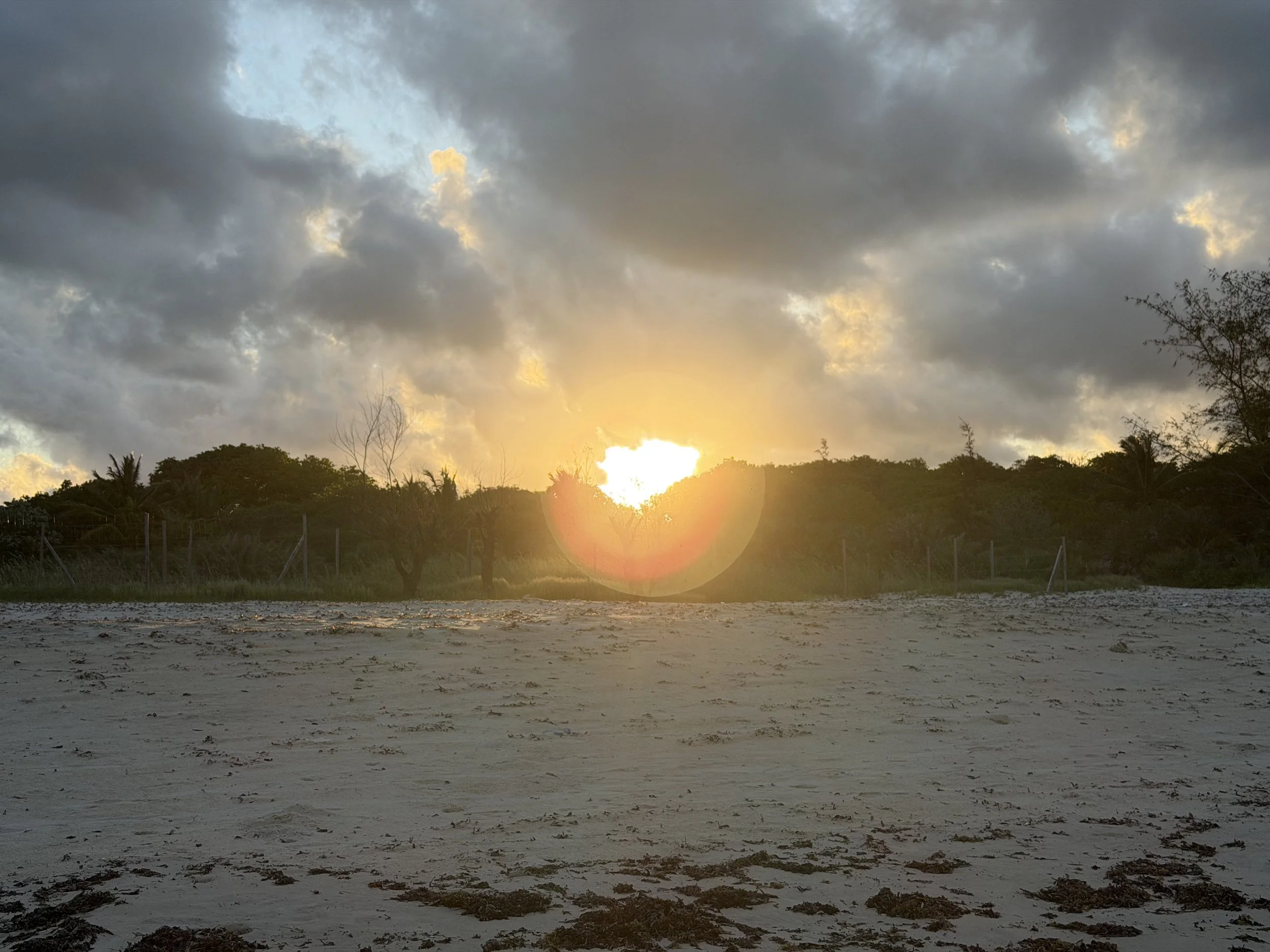 Sunset over a sandy beach with trees and a cloudy sky.