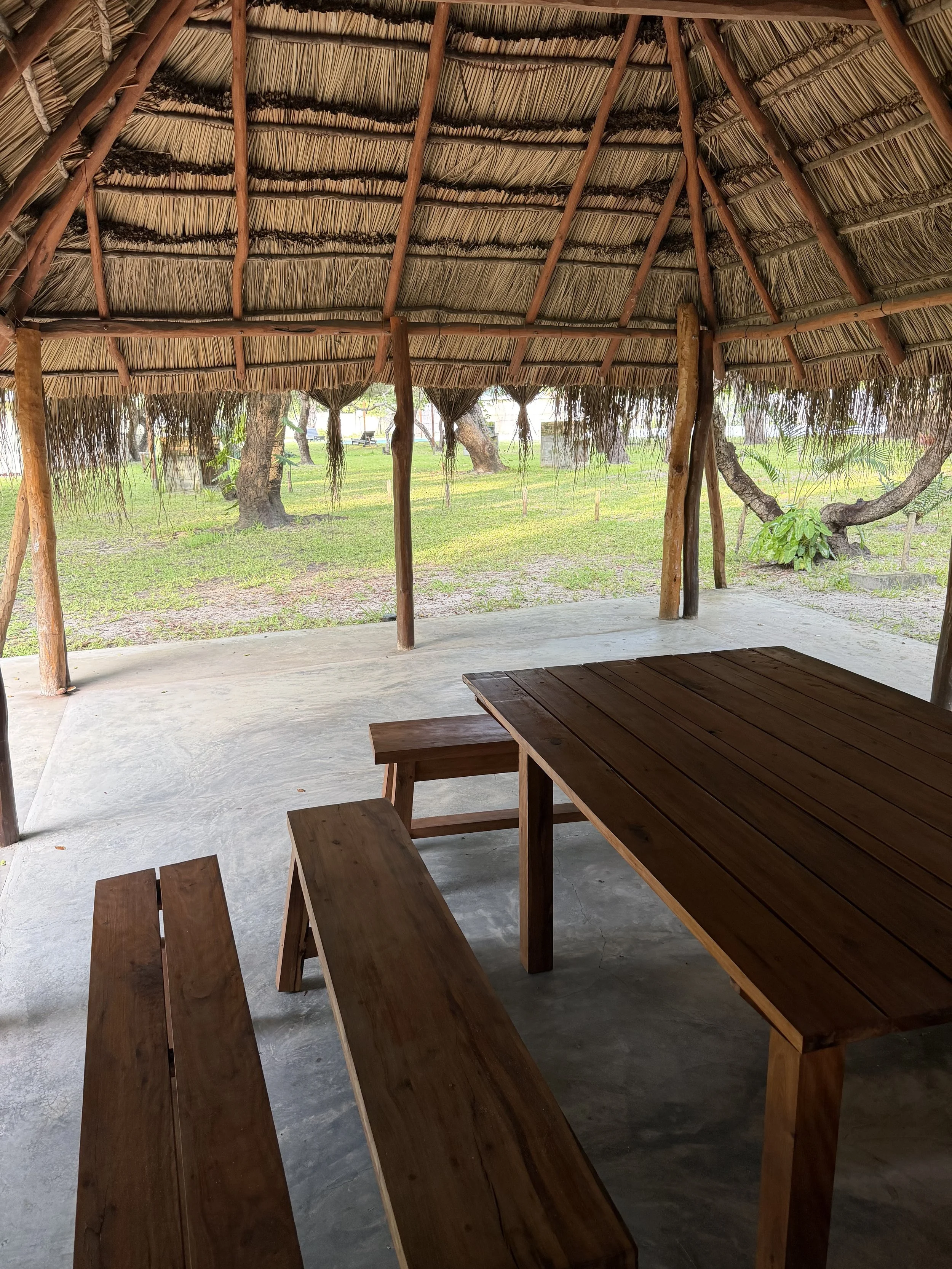 Wooden picnic table with benches under a thatched roof shelter, with trees and grass in the background.