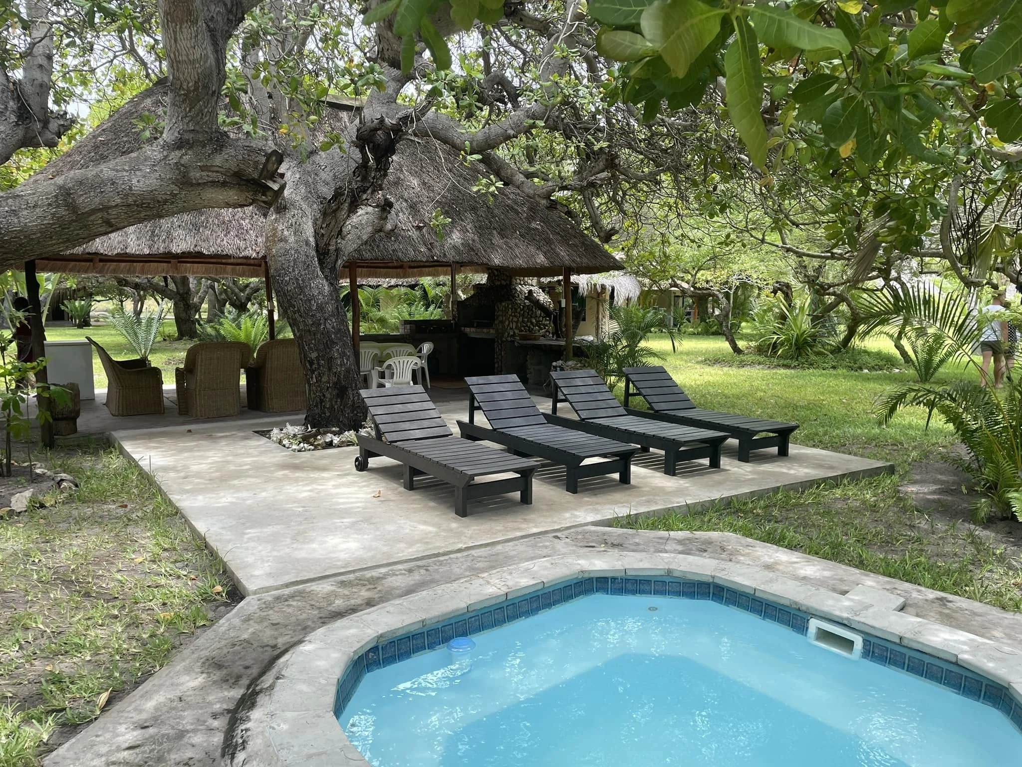 A backyard area featuring a small swimming pool with light blue water, surrounded by a concrete deck. Nearby, there are black lounge chairs and a patio with wicker chairs, shaded by large trees with green leaves. In the background, there is a thatched-roof cabana with outdoor furniture and lush greenery.