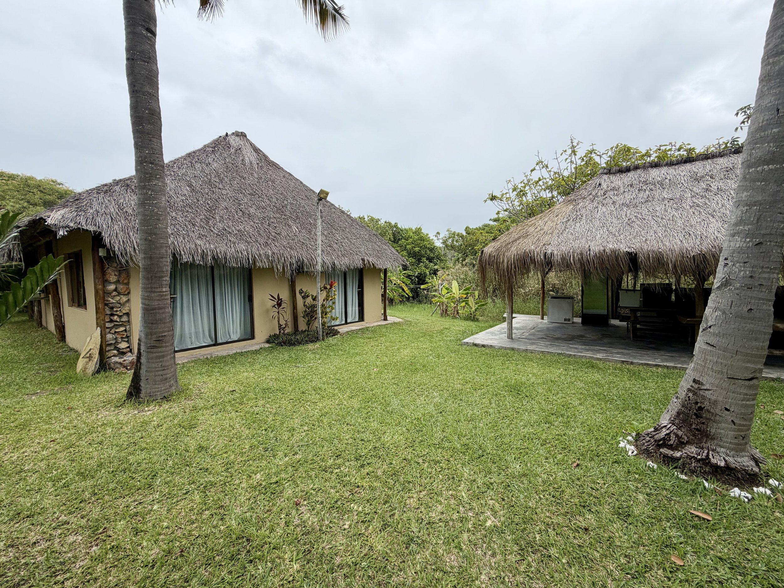 A tropical setting with two thatched-roof huts, tall palm trees, green grass, and some plants and trees in the background.