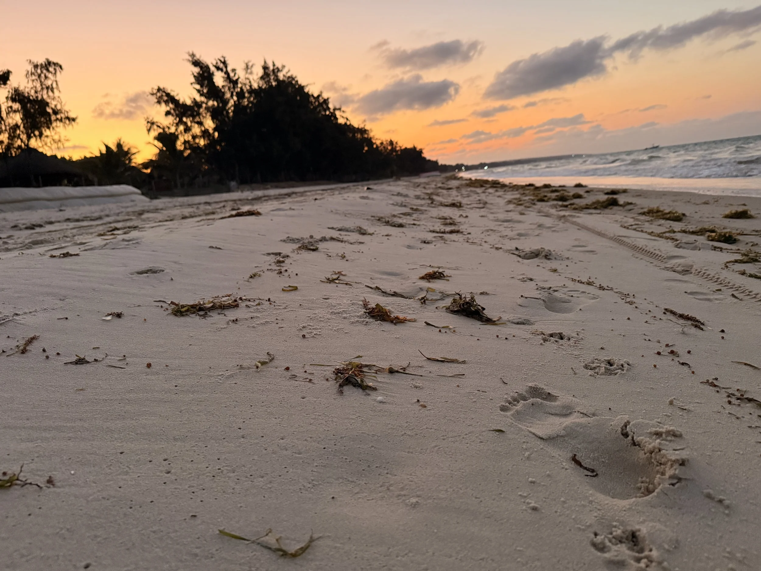 Sandy beach with footprints and scattered seaweed, ocean waves, and a sunset with clouds in the sky.