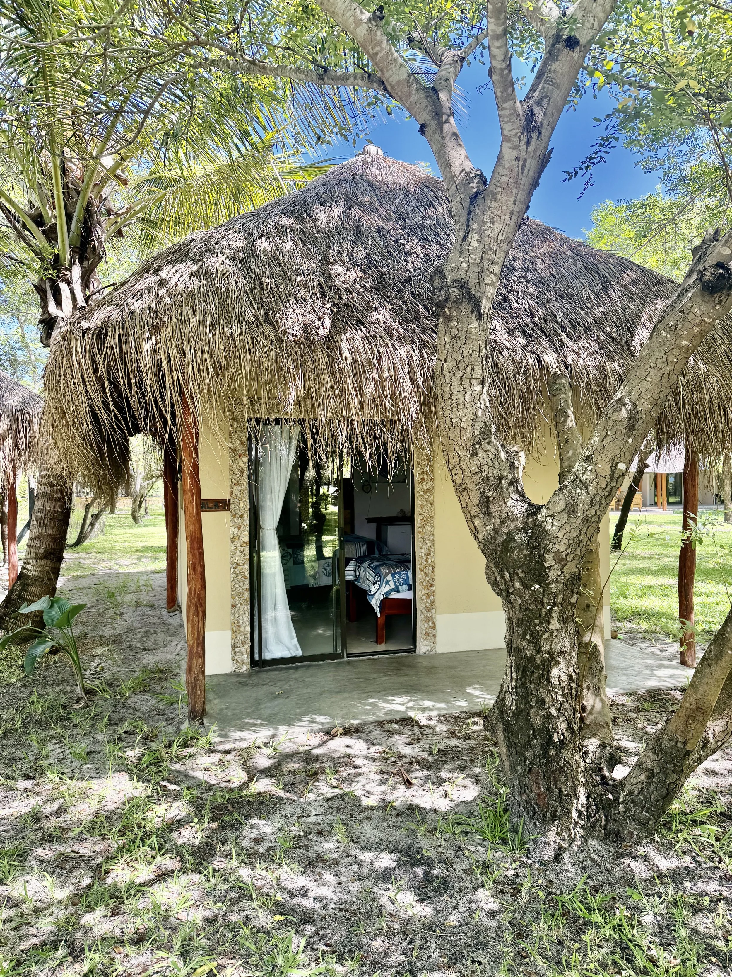 A tropical hut with a thatched roof and large glass sliding door, surrounded by trees and lush green vegetation on a sunny day.