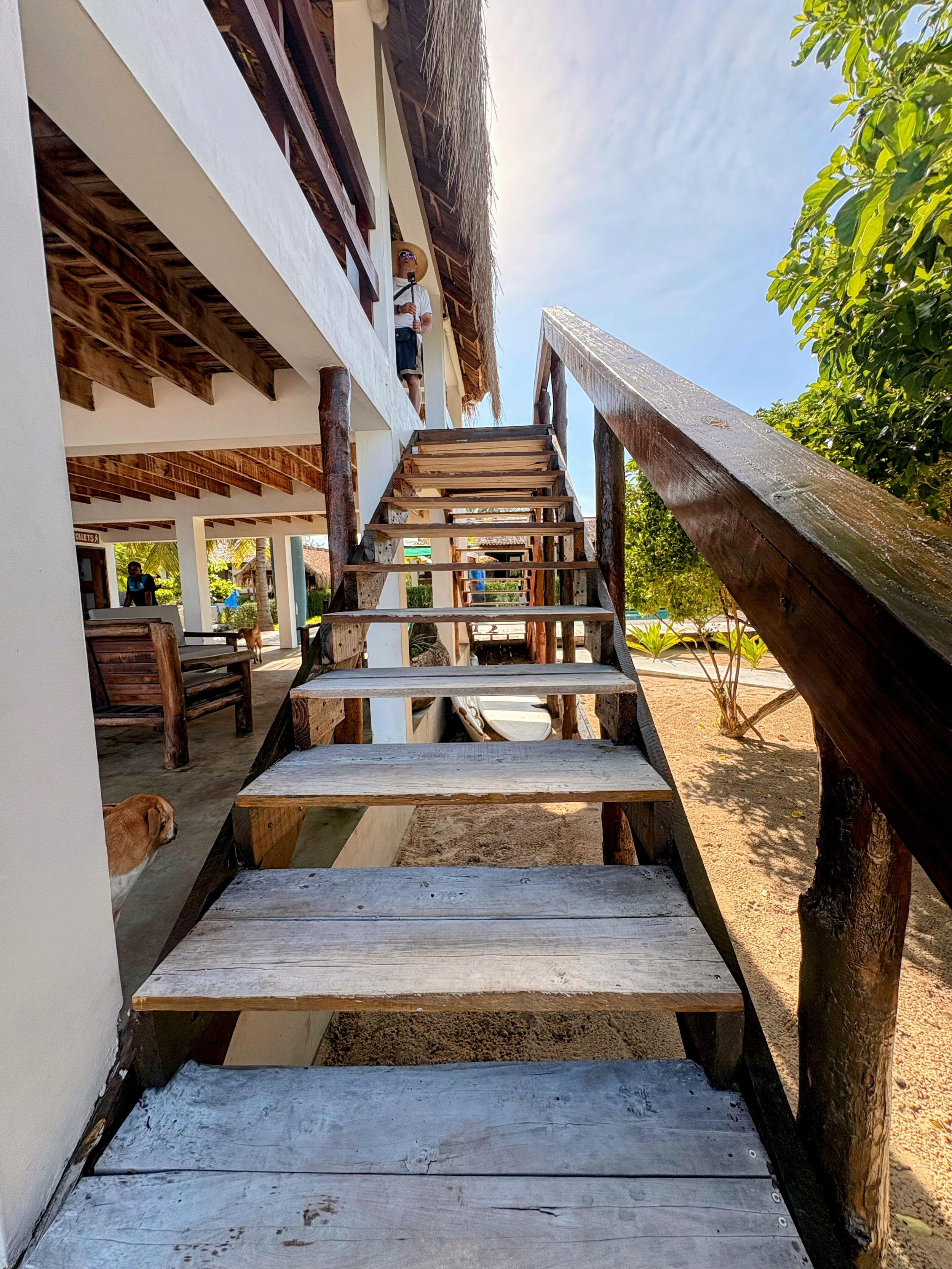 View from the bottom of a wooden staircase leading to a second-floor balcony of a beachside building. A person wearing a hat and sunglasses stands on the balcony, looking out. The area is tropical, with sand and greenery visible, as well as a dog near the staircase.