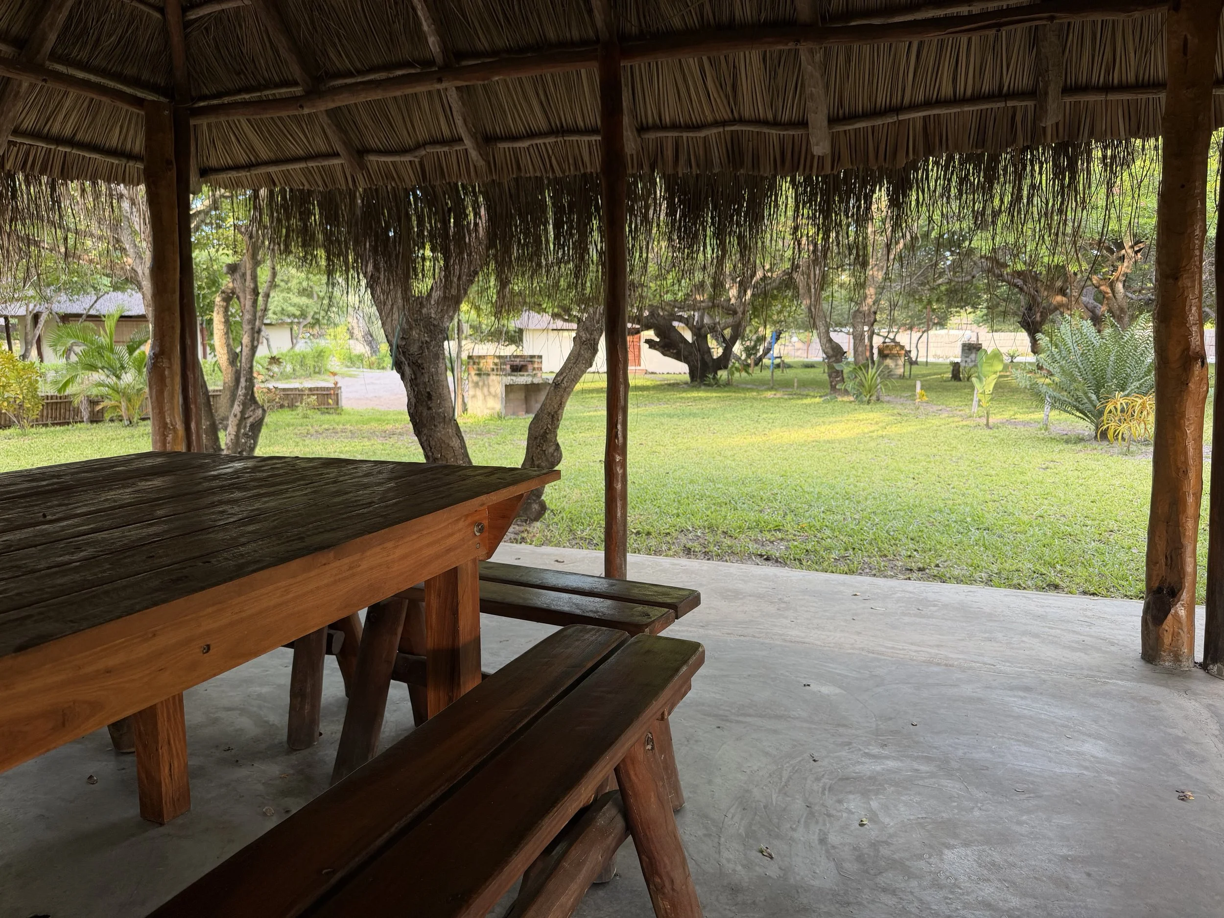 View from inside a rustic outdoor shelter with a thatched roof, overlooking a green grassy yard with trees and small structures.