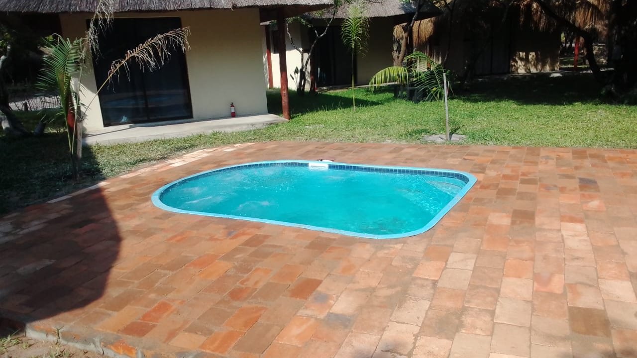 Small pool on a brick patio in backyard with a house and trees in the background.