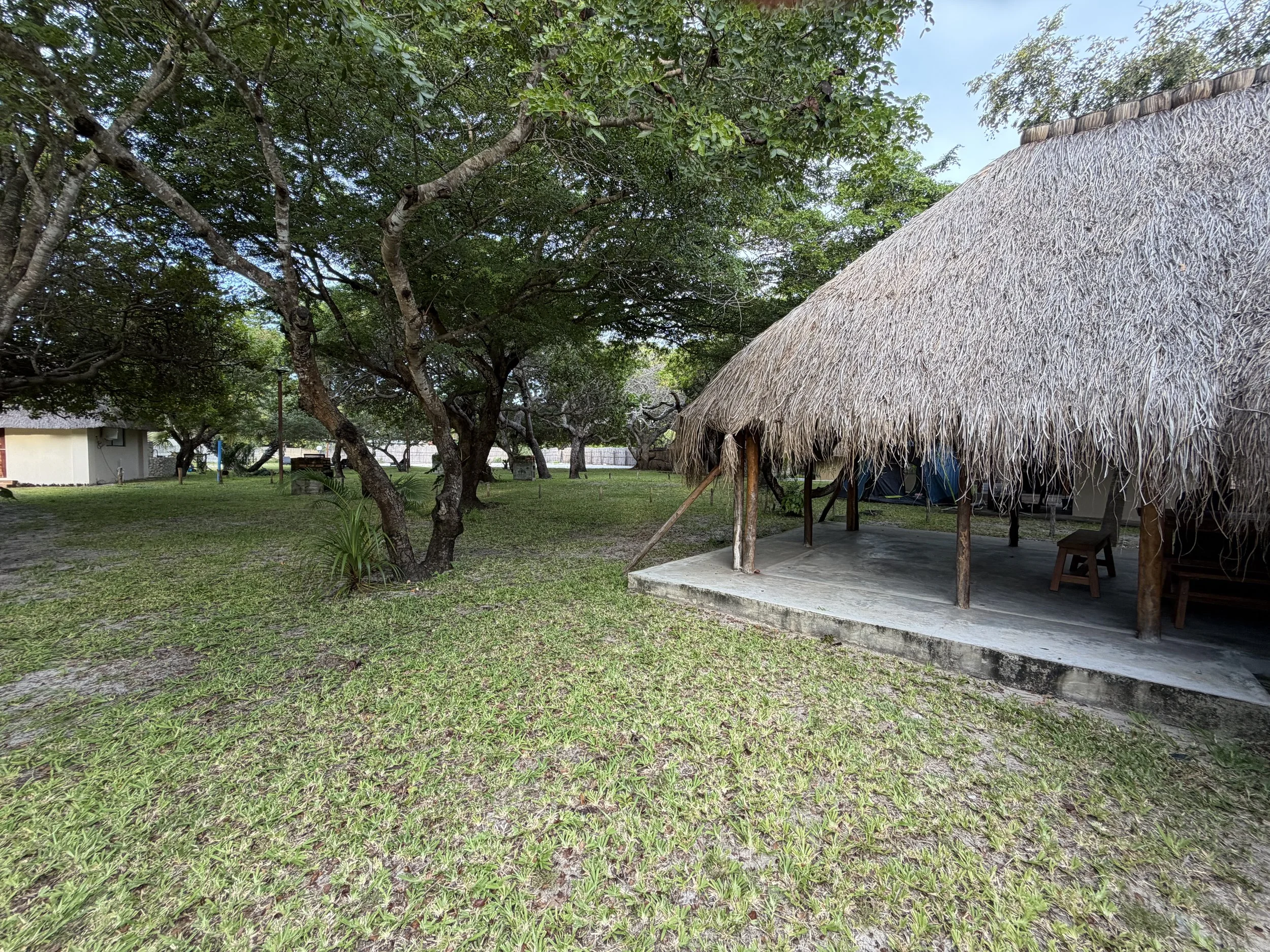 A thatched-roof hut on a concrete platform under trees in a grassy yard.