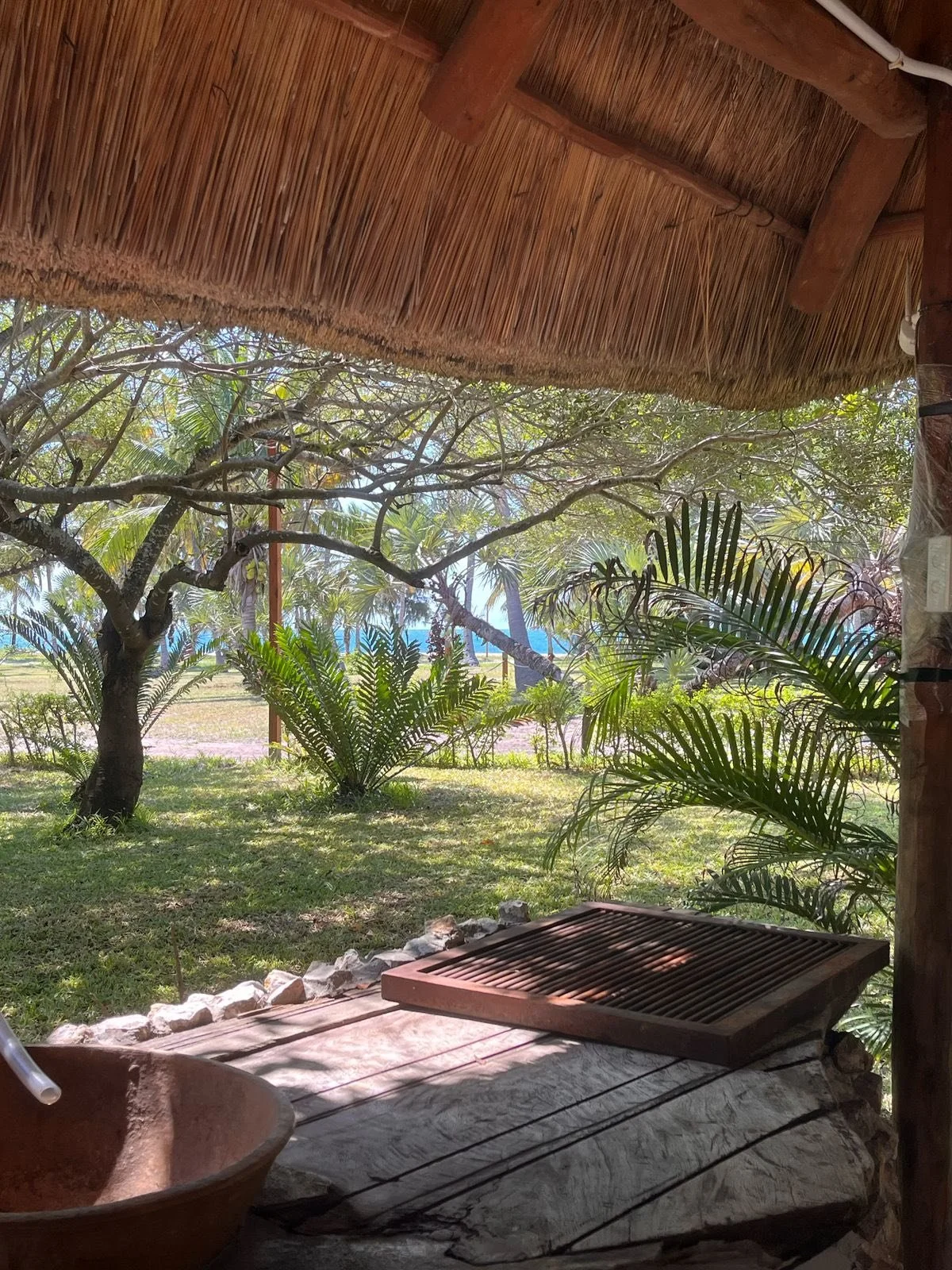 View from a shaded, thatched roof patio looking out onto a garden with grass, trees, and tropical plants.