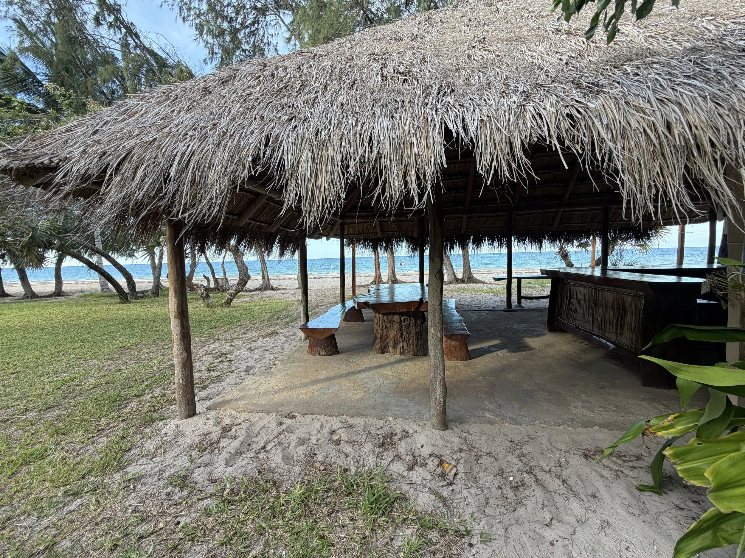 Beach hut with thatched roof under trees near the beach and ocean, with wooden picnic tables inside.
