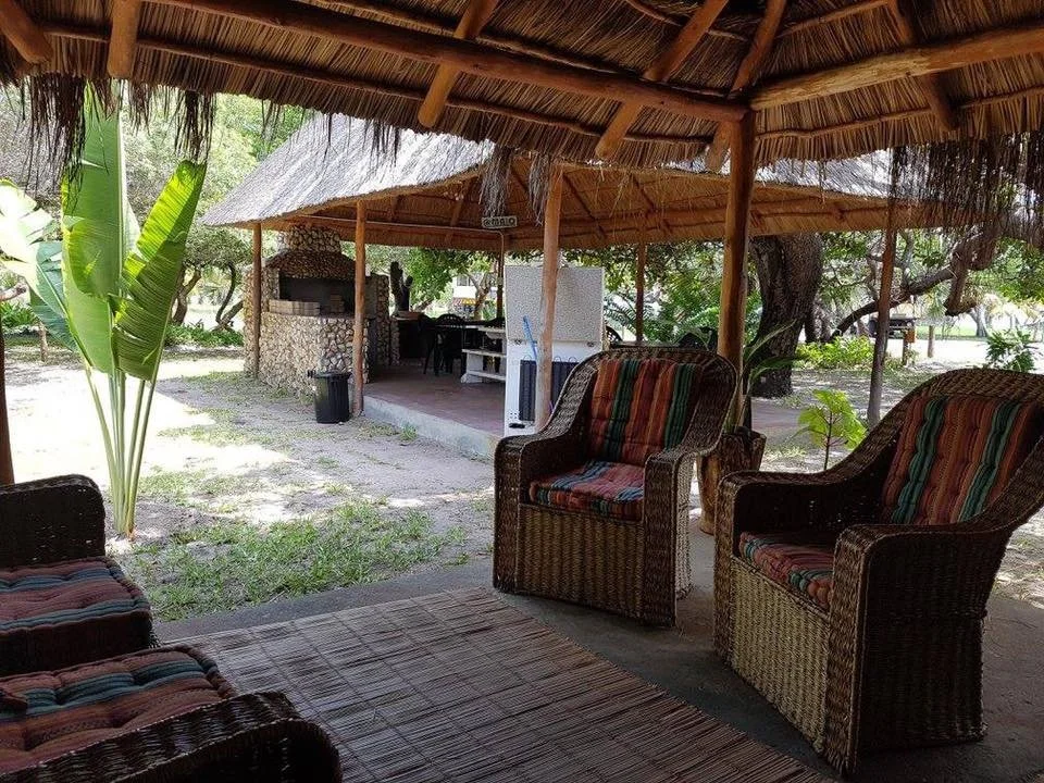 Outdoor seating area with wicker chairs and a thatched roof, surrounded by trees and plants.