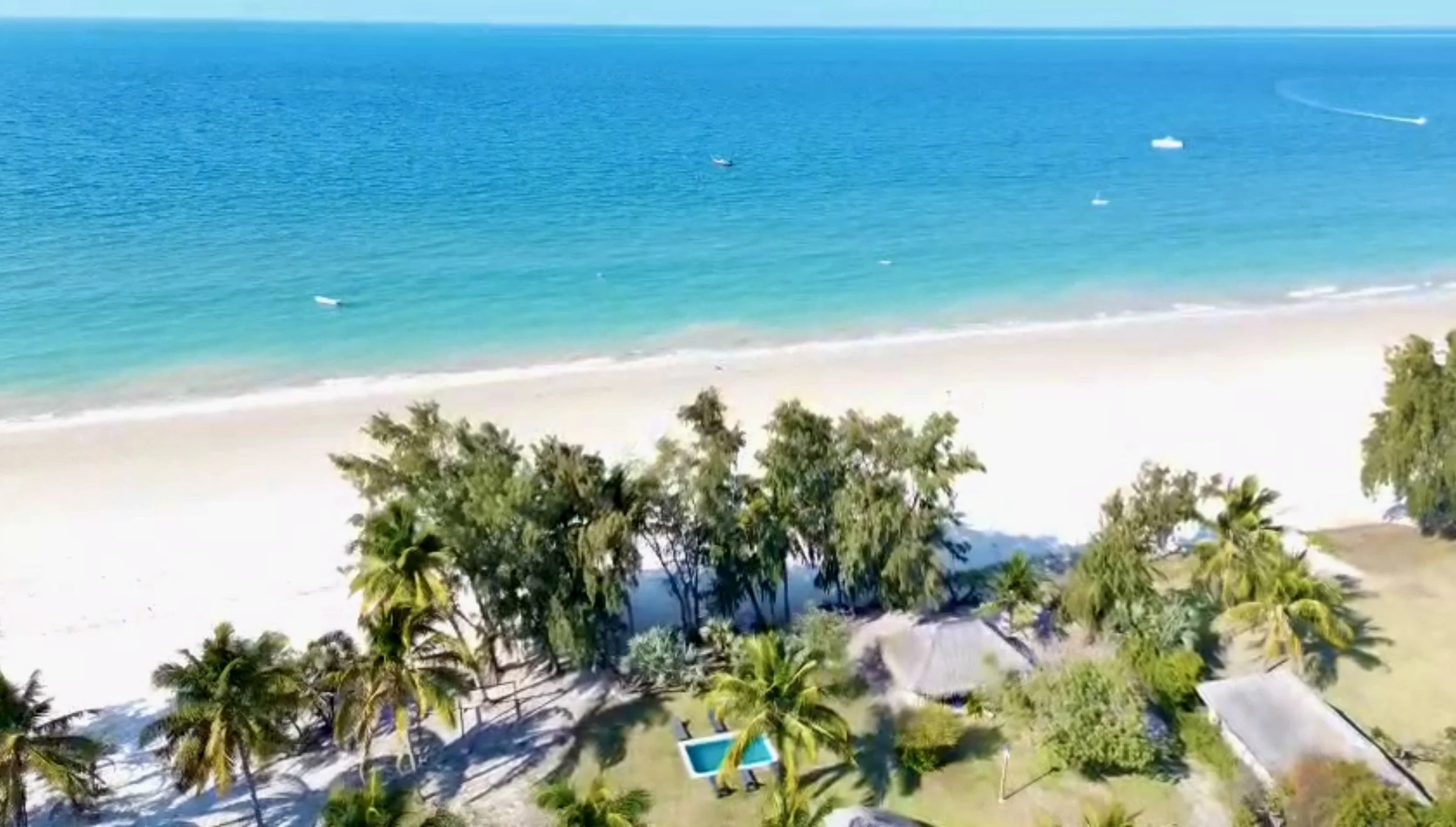 Aerial view of a beach with turquoise waters, palm trees lining the shore, and a swimming pool visible among the trees.