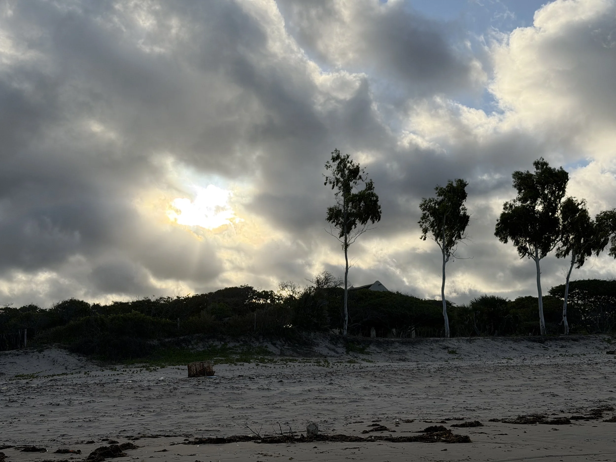 A beach scene with dark clouds covering the sky and some sunlight breaking through. There are tall trees along the shoreline and some vegetation on the sand.