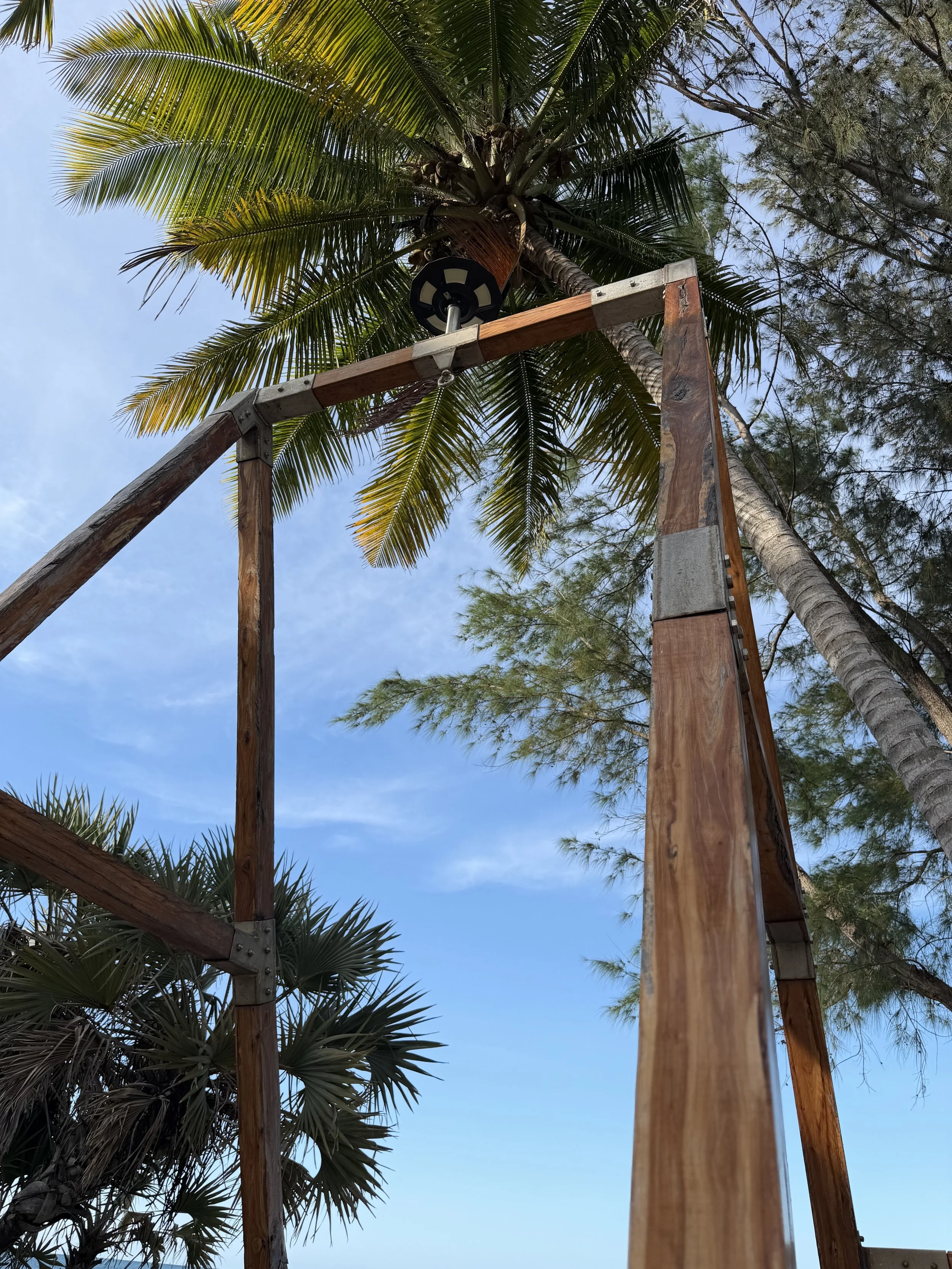 A palm tree and construction scaffolding or support structure with wooden beams under a partly cloudy sky.