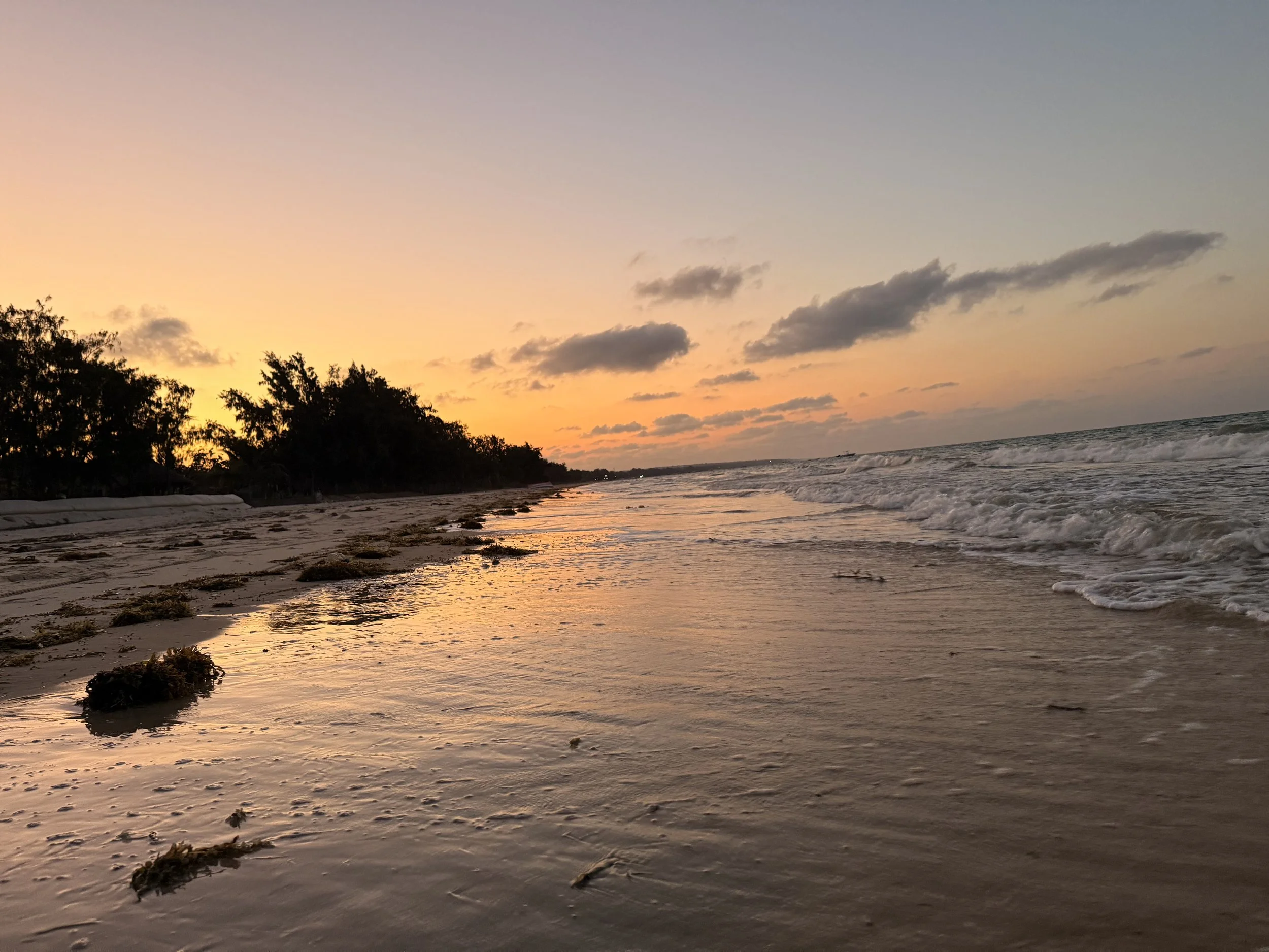 A beach at sunset with the sky painted in soft pink and orange hues, calm waves reaching the shore, and silhouettes of trees in the distance.