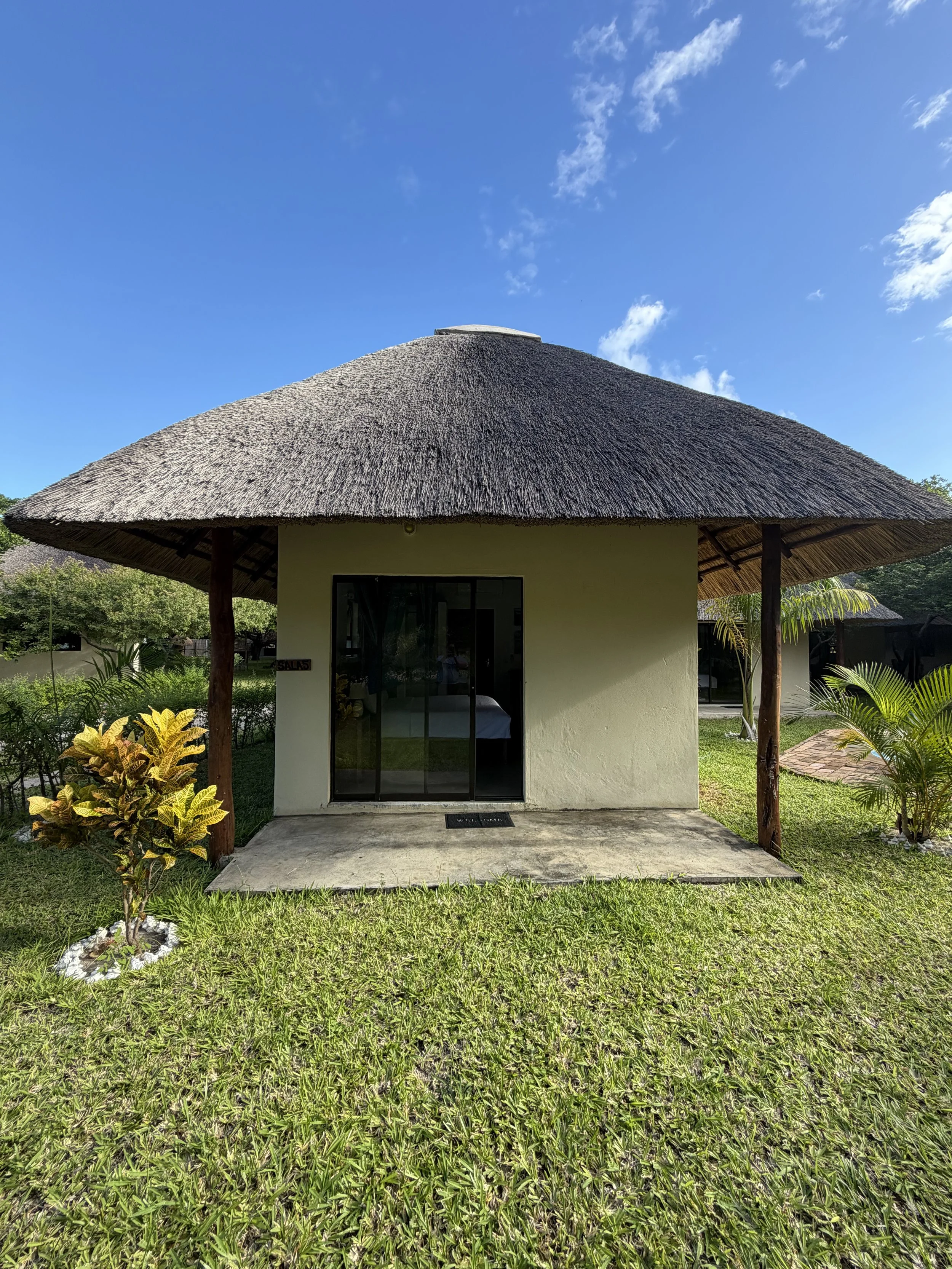 A small building with a thatched roof, glass door, and greenery surrounding it on a sunny day.