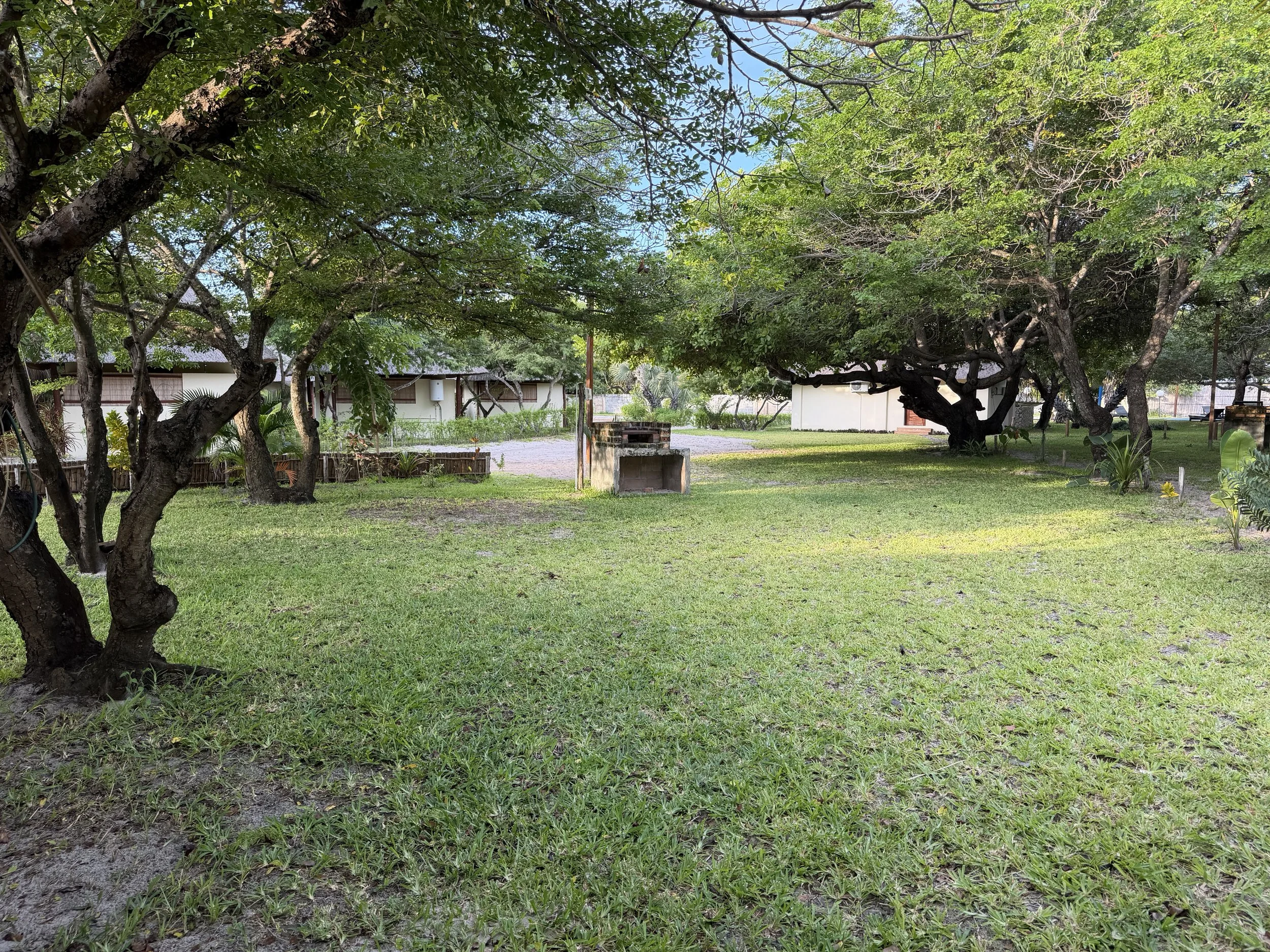 A backyard scene with green lawn, large trees with dense leafy branches, a white building with a brown door, a brick barbecue, and a gravel pathway.