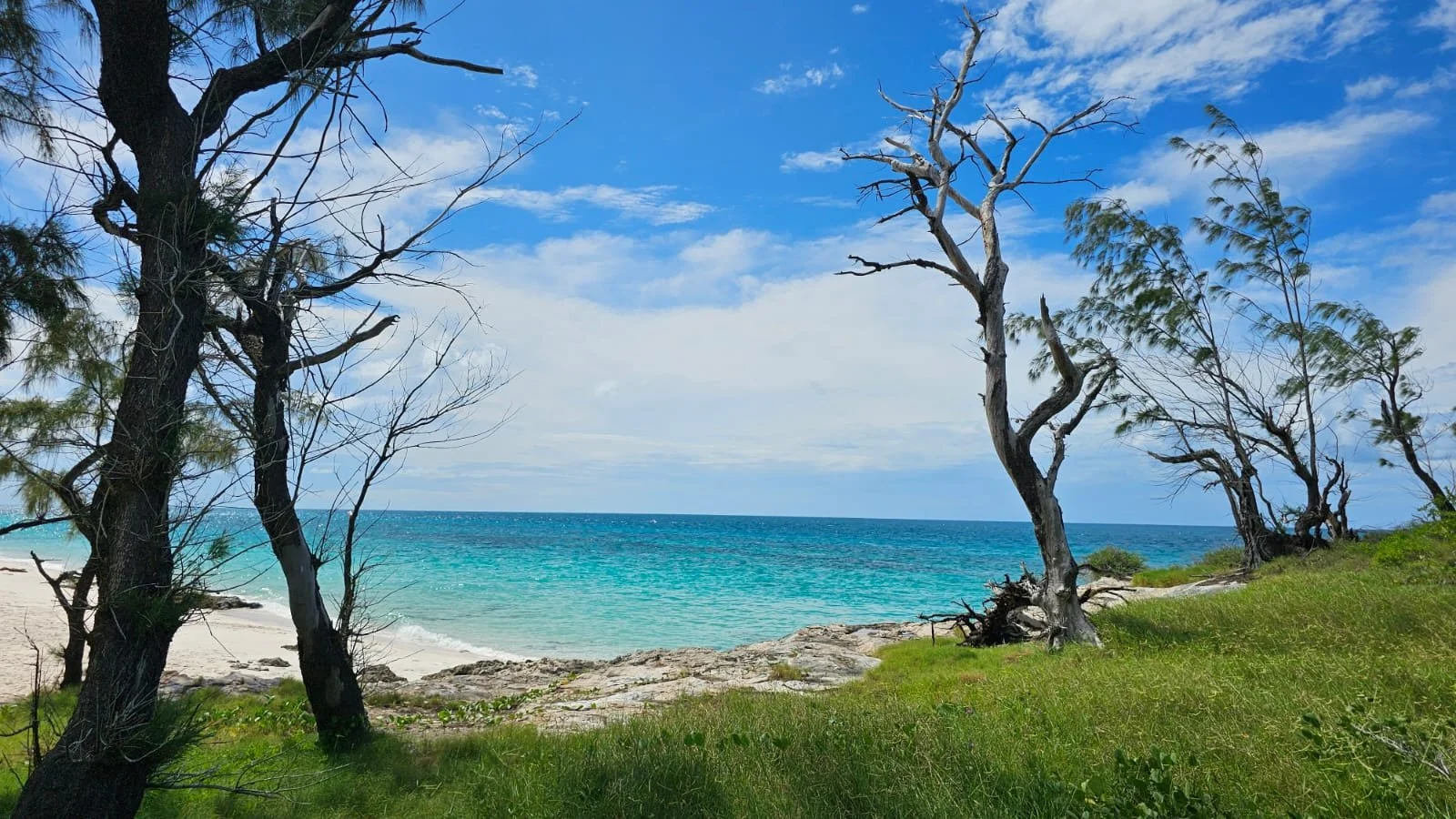 Scenic view of a tropical beach with green grass, leaning trees, and clear blue ocean under a partly cloudy sky.