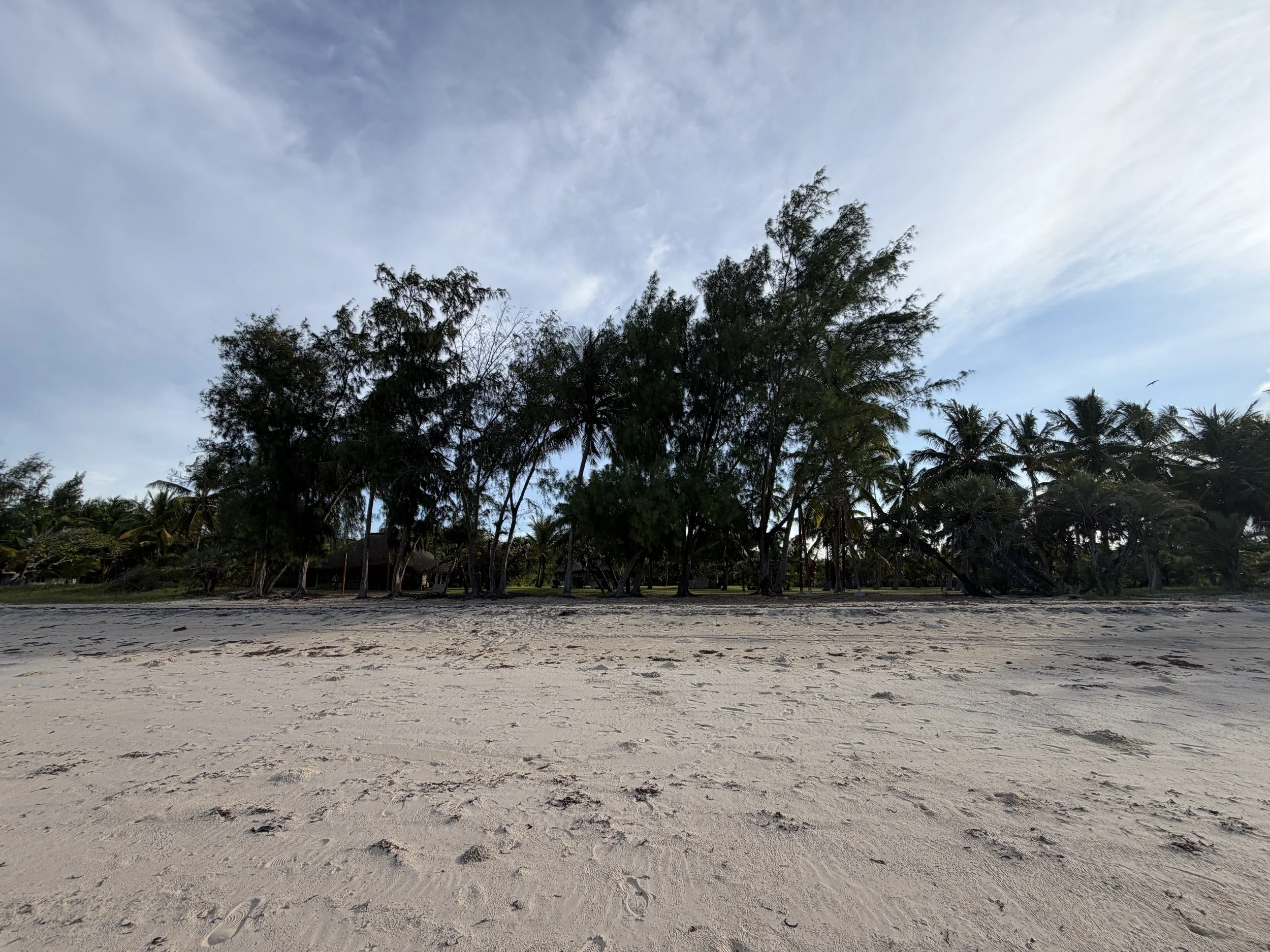 Beach with sandy shore in the foreground, trees including palm trees and other tropical trees in the background, and a partly cloudy sky.