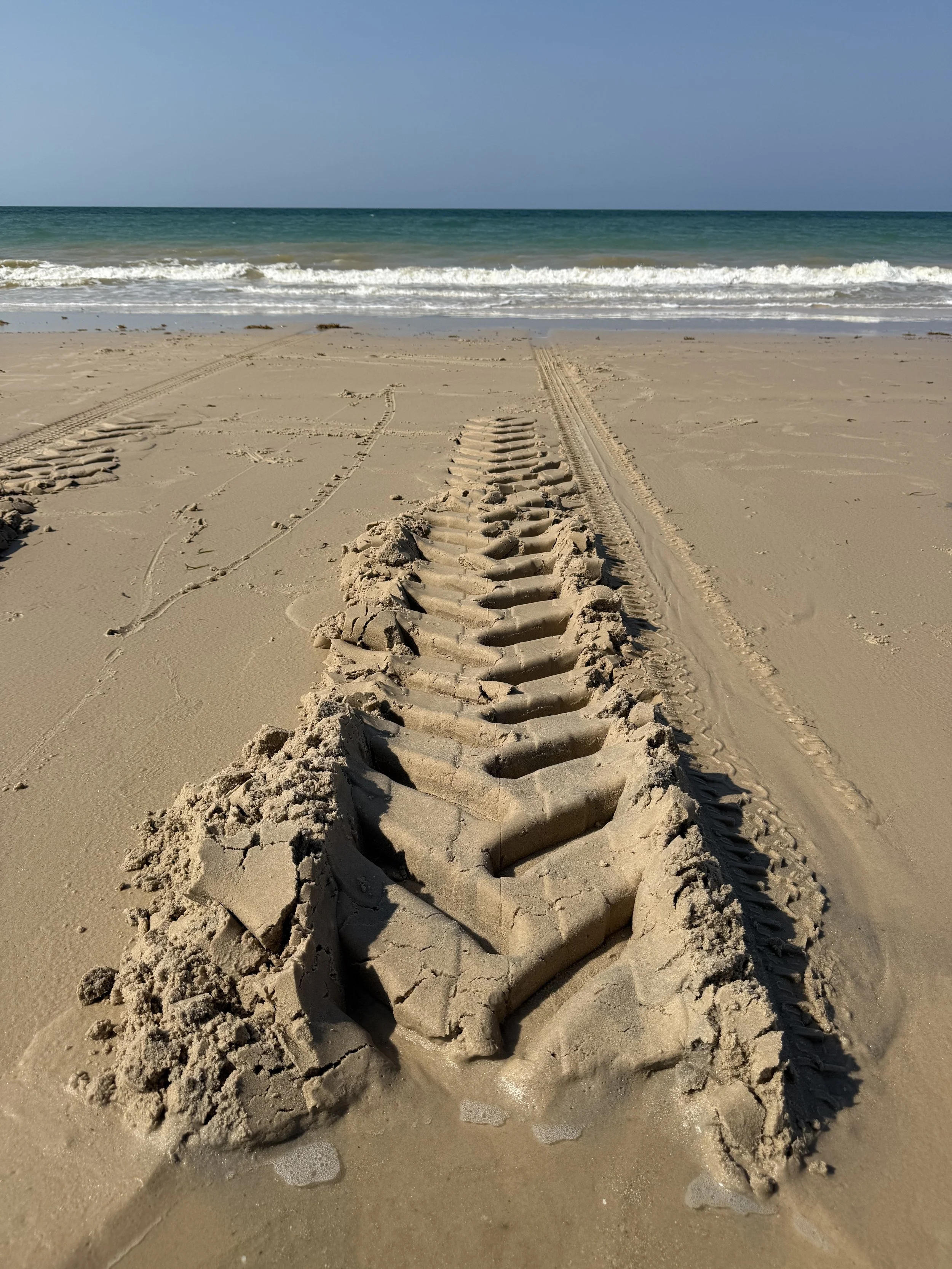 A sand sculpture of a fish on a beach with ocean waves and blue sky in the background.