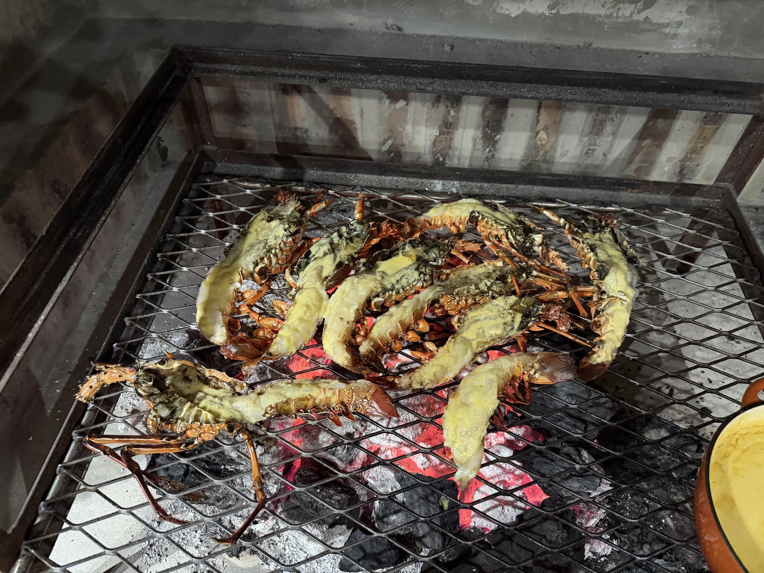 Lobster tails being grilled over red hot coals on a metal grill rack.