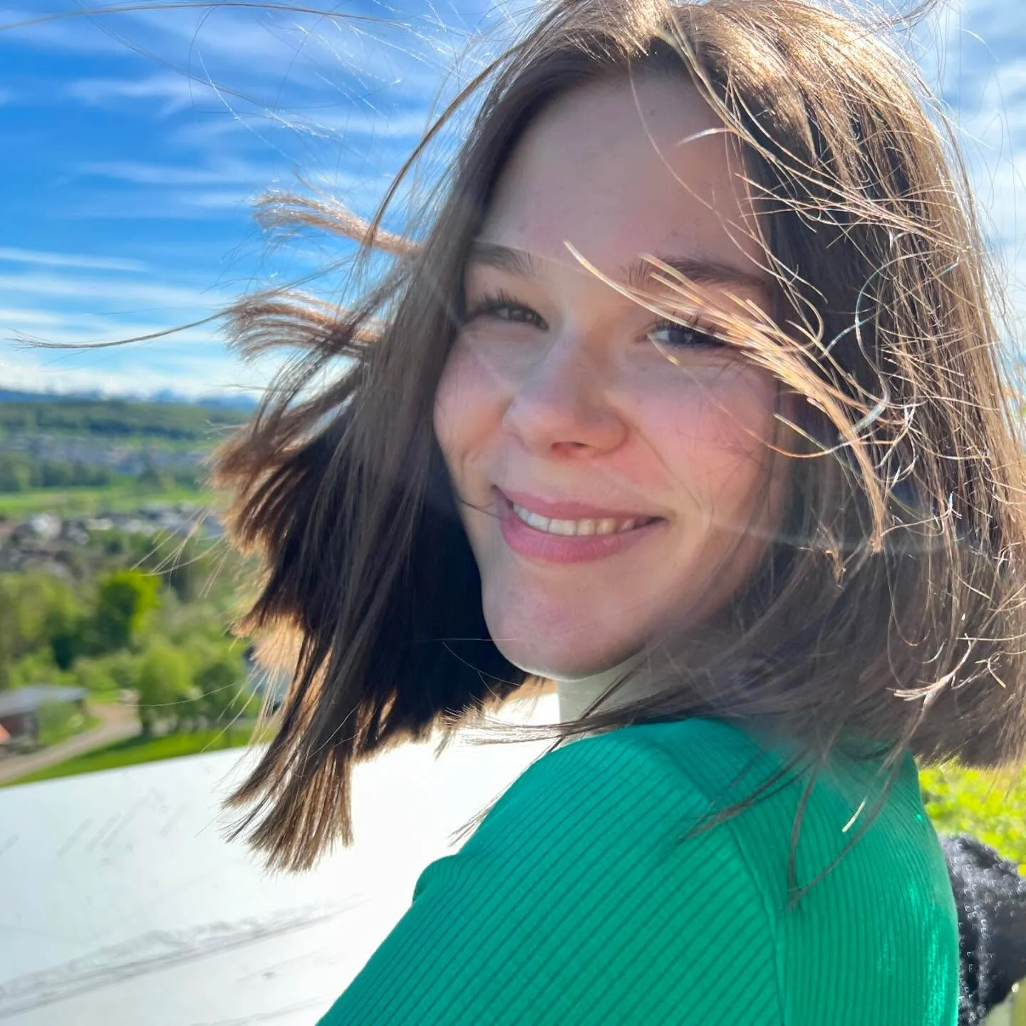 Gedanken werden Dinge &ndash; the Secret