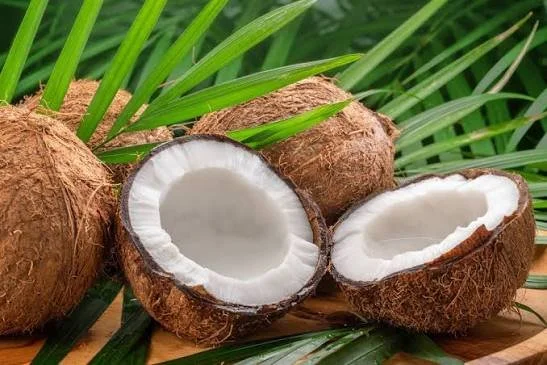 Coconut Soleil Soy Candles