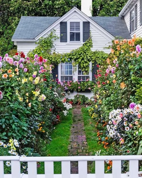 summer cottage.jpg