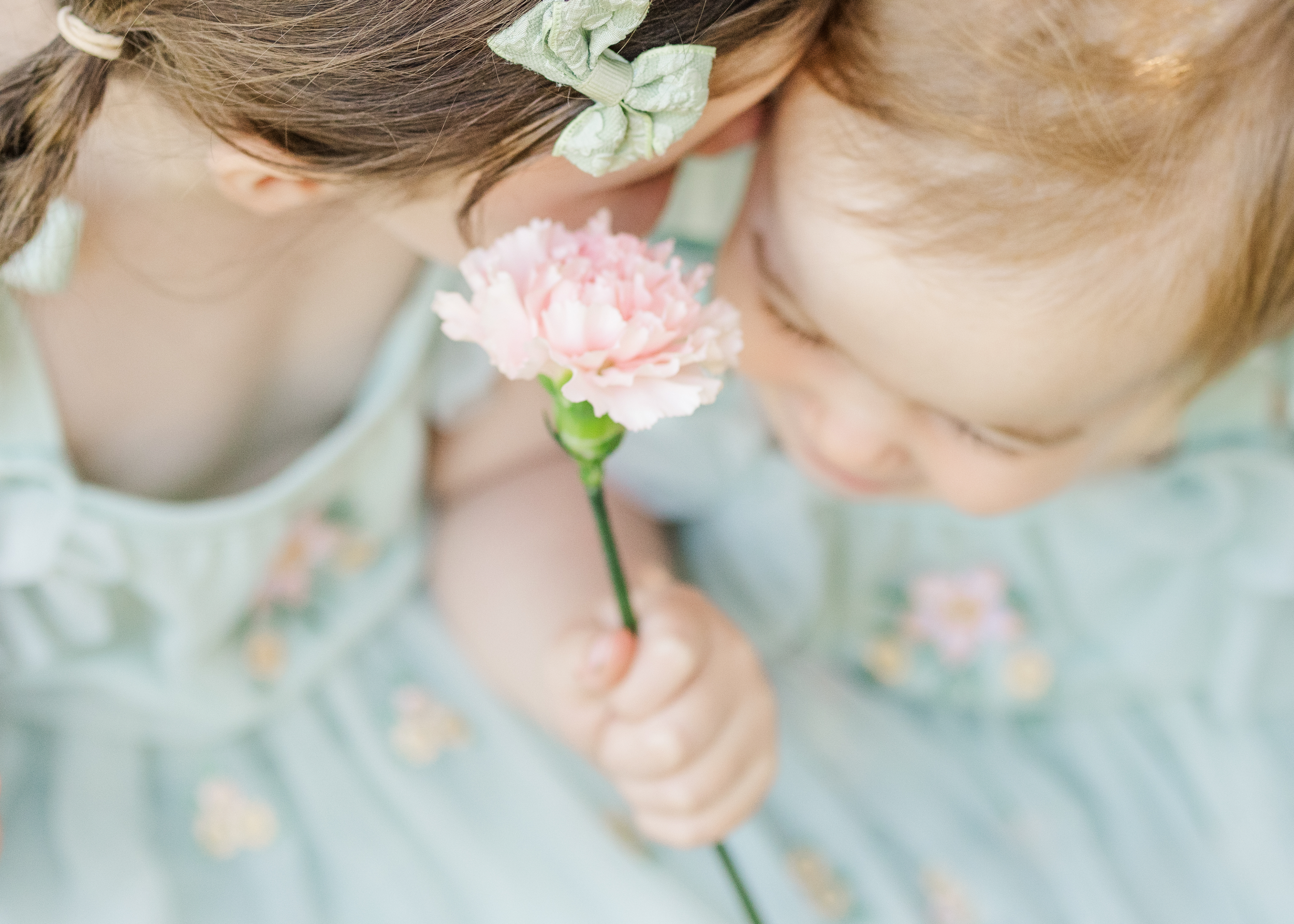Close-up of a young girl holding a pink carnation flower near her face, with her head tilted downward, wearing a light blue dress with floral embroidery.