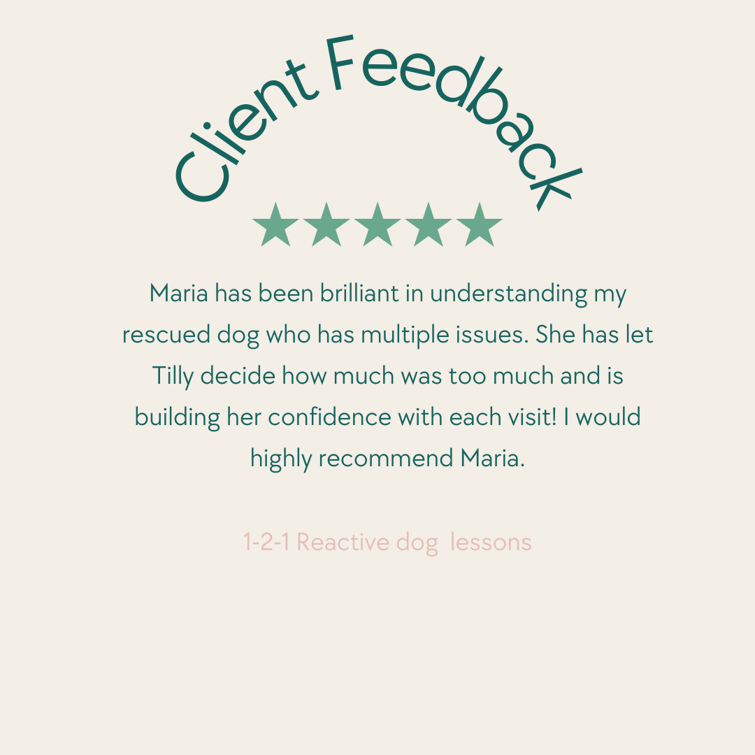 Customer feedback form with five-star rating and a positive review about Maria, a dog trainer, with a note about reactive dog lessons.