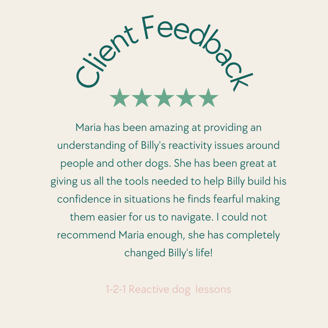 Customer feedback with a 5-star rating and a detailed positive review for a dog training service, highlighting Maria's effectiveness with reactive dogs.