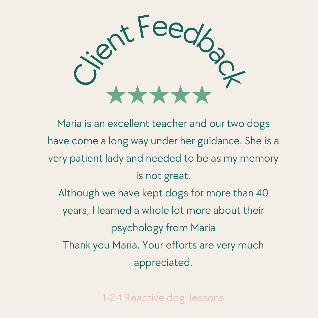 Customer feedback with five-star rating, praising Maria as an excellent teacher and her guidance with dogs, especially noting her patience and psychological insights.