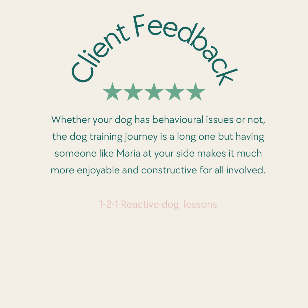 Customer feedback for dog training service with 5-star rating, testimonial text about a positive training experience with a dog named Maria, and mention of reactive dog lessons.