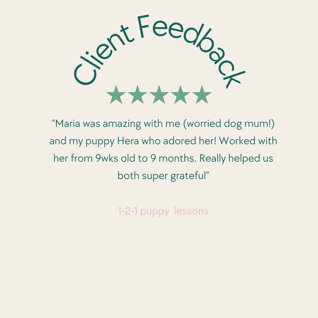 Customer feedback for puppy training lessons with a five-star rating and a positive testimonial from a dog owner.