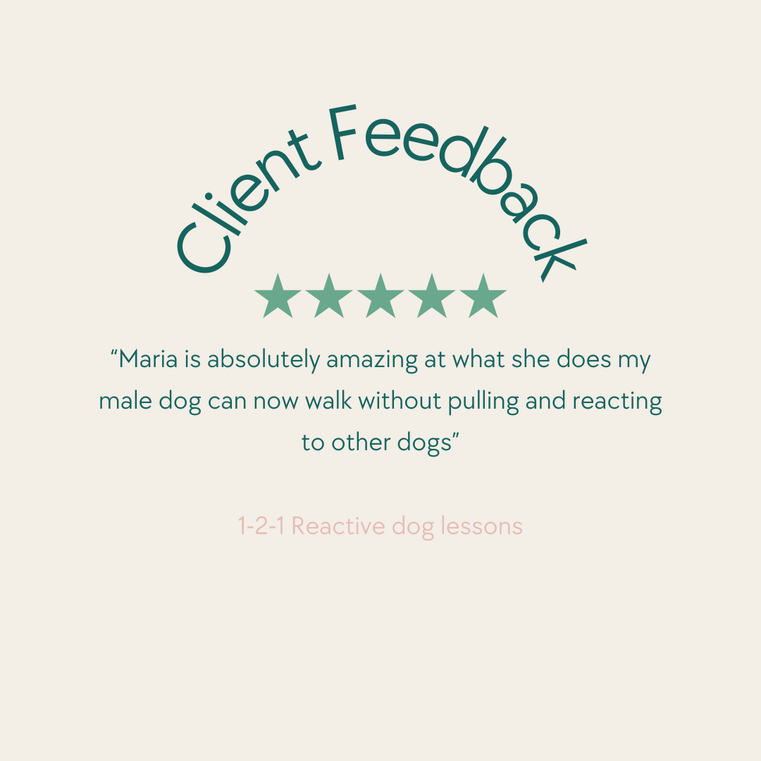 Customer Feedback section with a 5-star rating, a testimonial about a dog training service, and the provider name '1-2-1 Reactive dog lessons'.