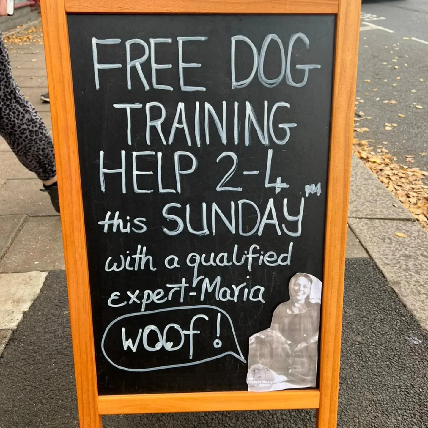 Today btw!!!!

Take the guess work out of dog ownership and come down to WildBush Teddington to have a chat about anything you want! I have been running these clinics and this is the last one scheduled for this year at the moment so come along and sa
