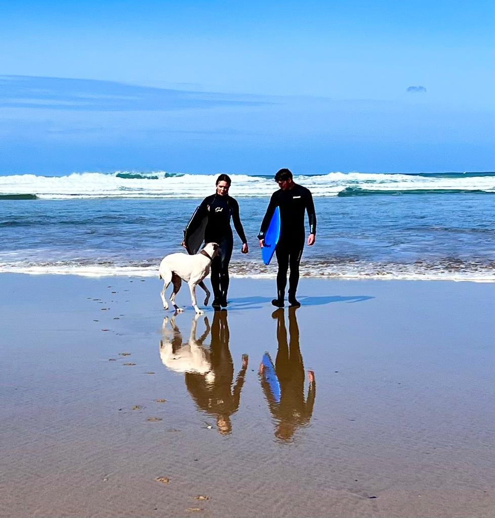Two people in wetsuits walking with a dog on a beach while holding surfboards, with ocean waves in the background and reflections on the wet sand.