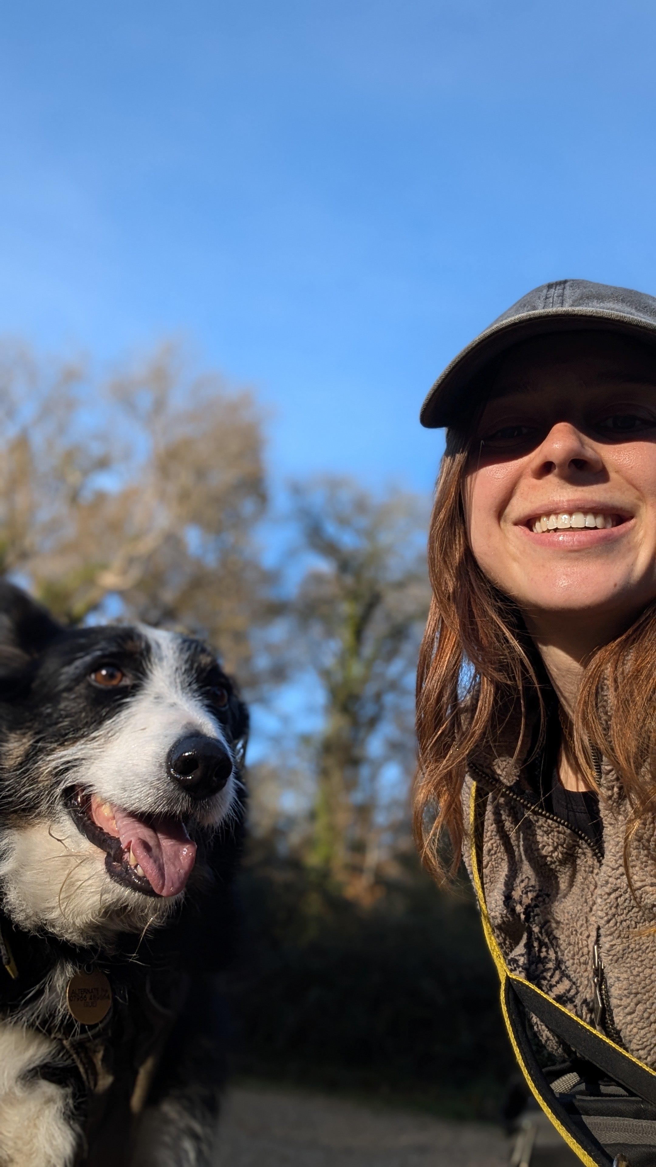 Behaviour Consultation