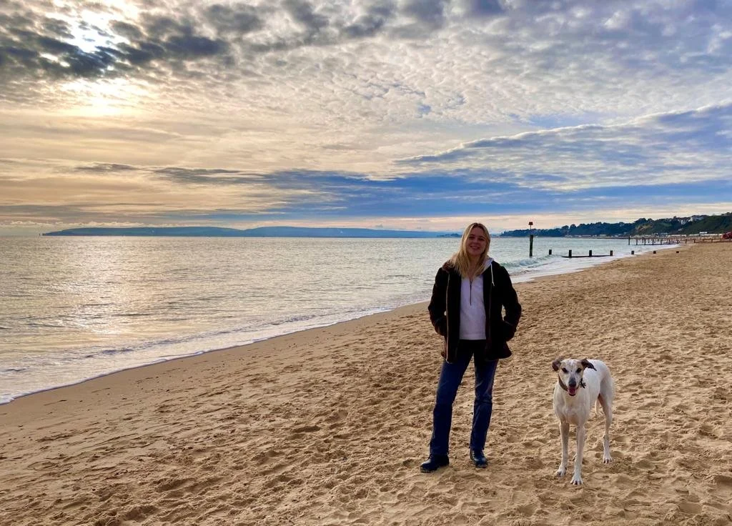 Scent work & Enrichement