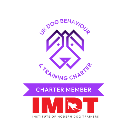 Logo of the Mobile App Development industry awards with a purple lion's head emblem and red text emphasizing excellence.