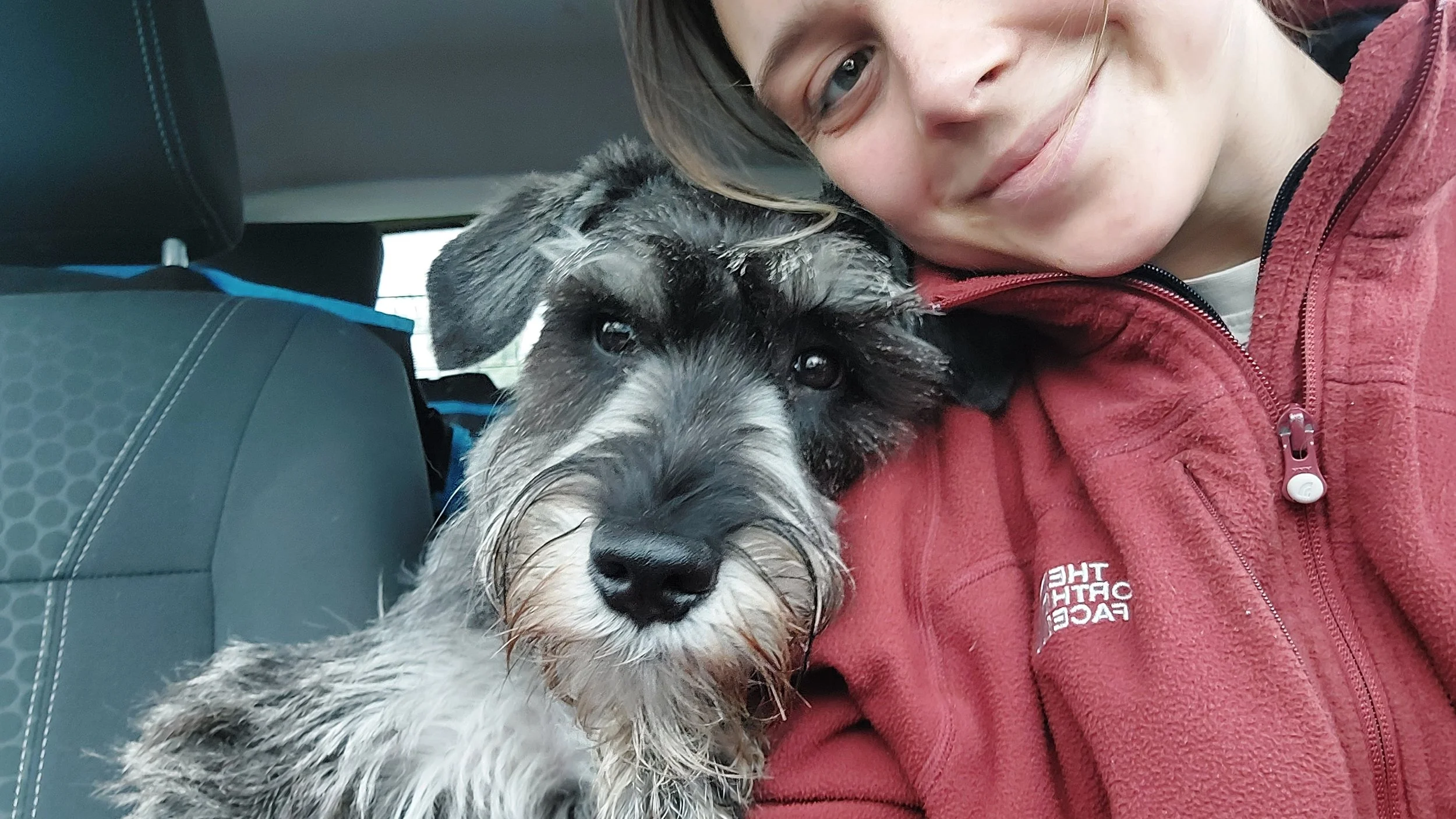 Thinking Of Getting a Dog