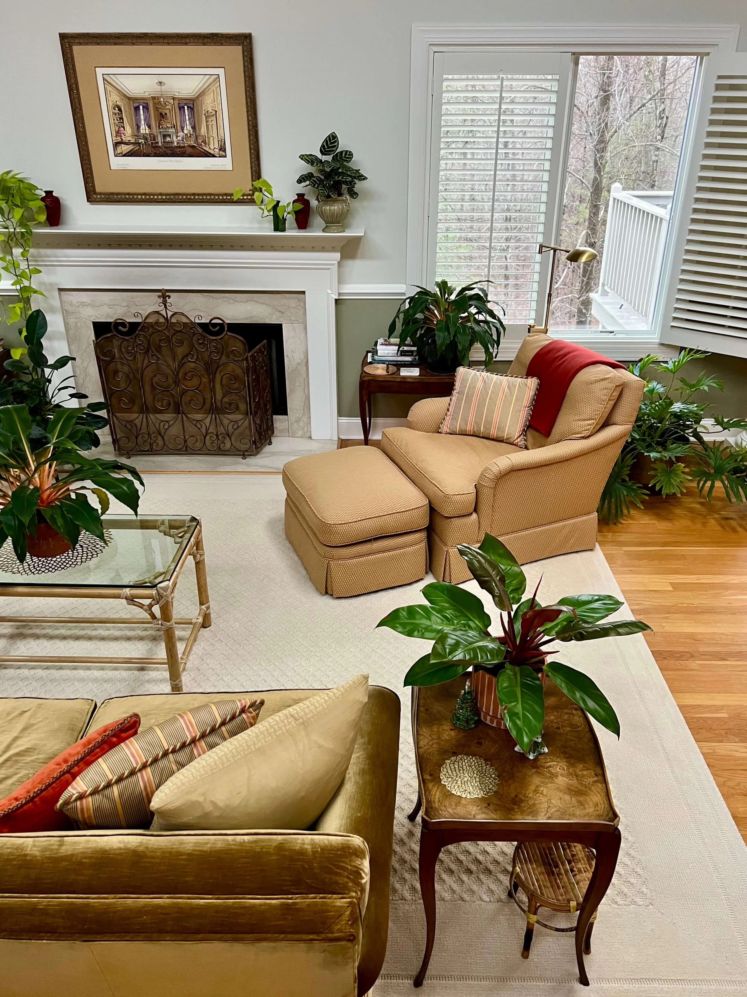 interior houseplant design in a Brookline MA residence